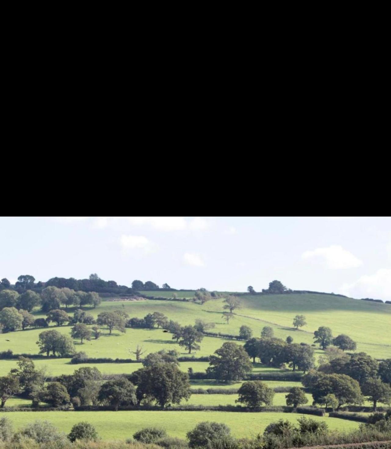 Mystique Barn view 2