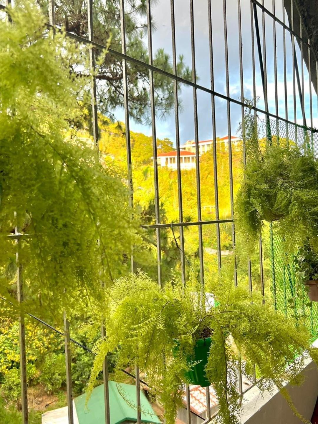 BAGUIO MINIMALIST 2 BEDROOM SOLO UNIT view 5