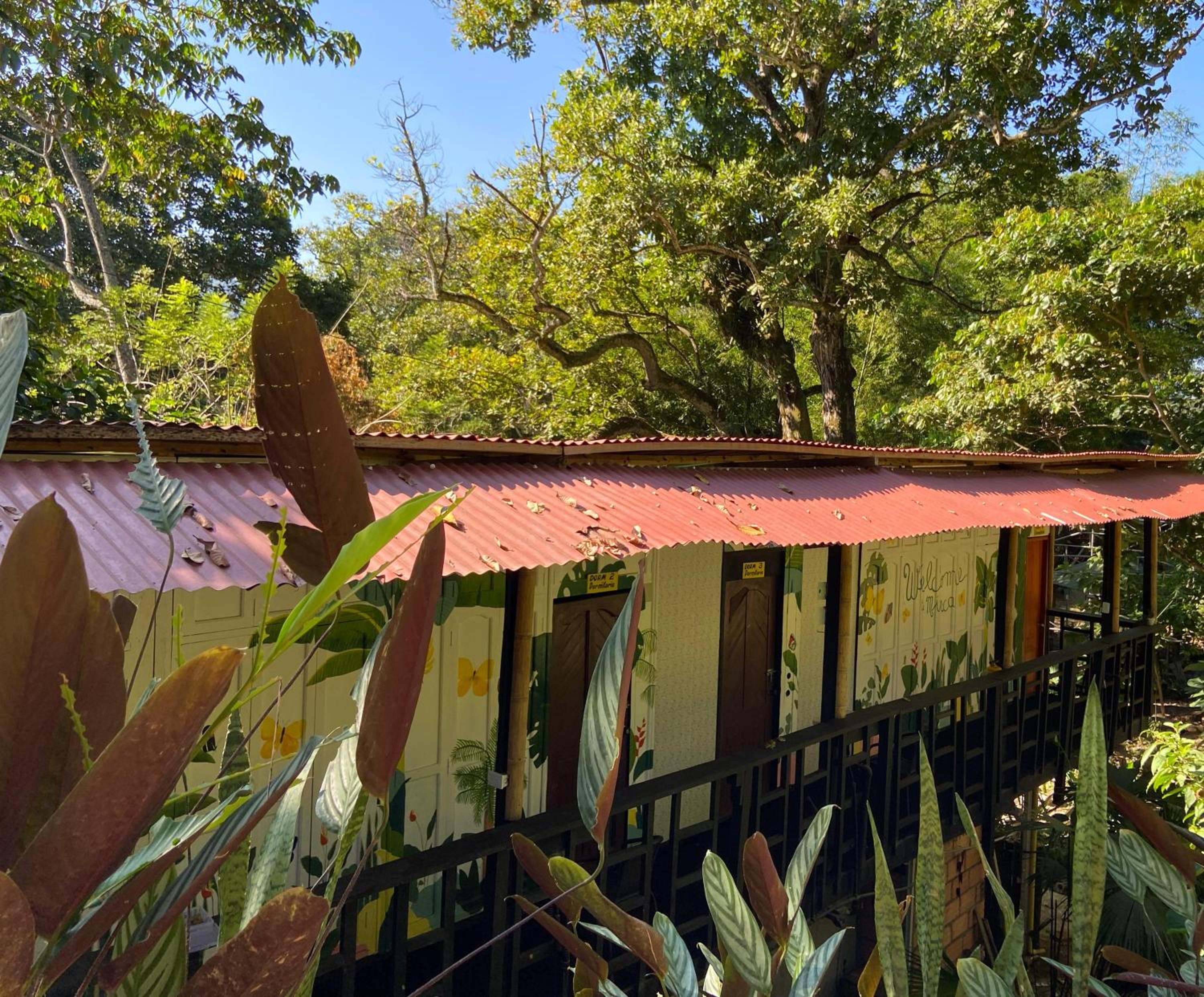 Hostal Las Mariposas Minca