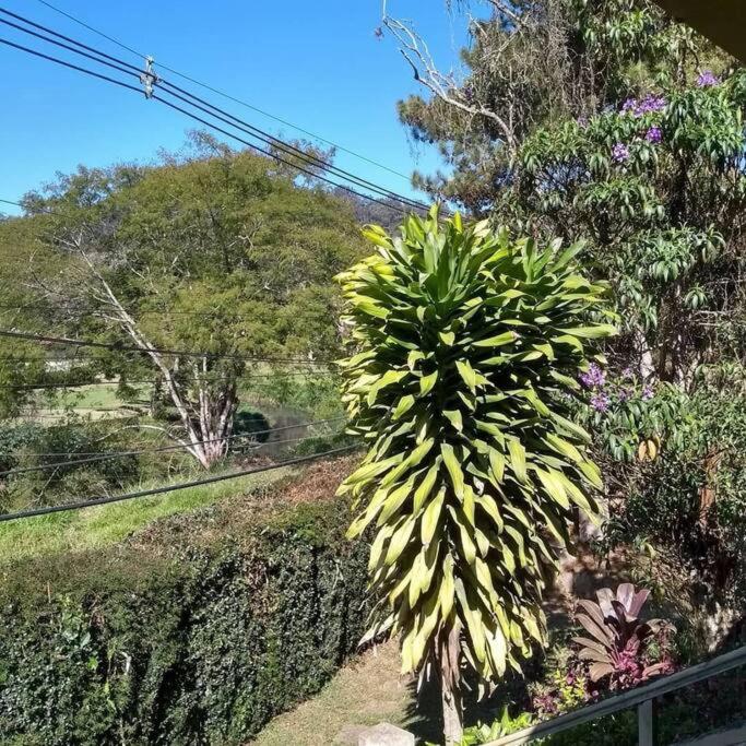 Casa aconchegante em Teresópolis