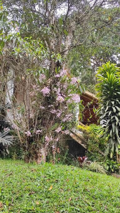 Casa aconchegante em Teresópolis