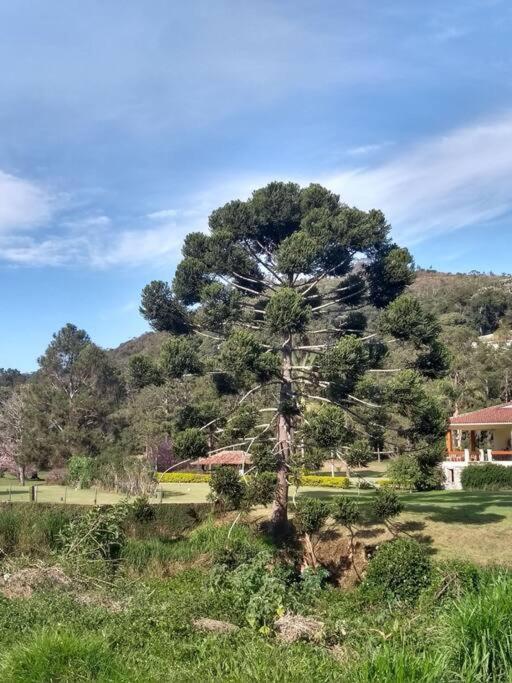 Casa aconchegante em Teresópolis