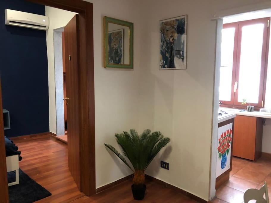 Blu Decumano Apartment