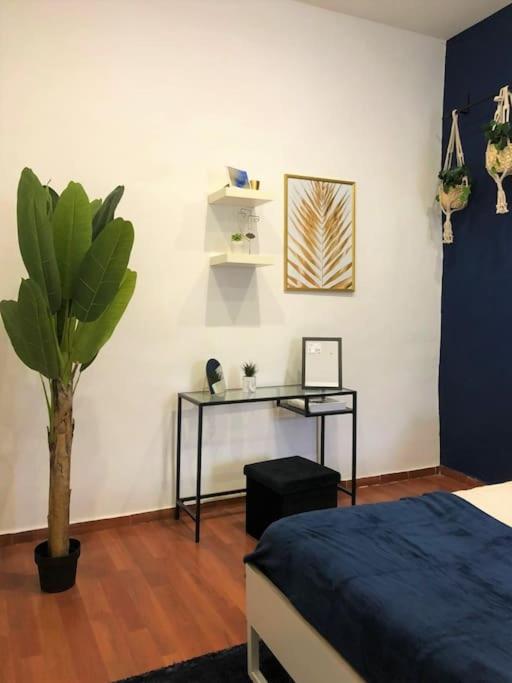 Blu Decumano Apartment