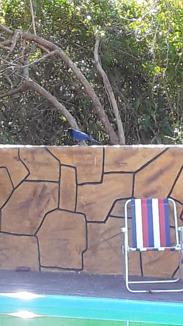 Recanto dos pássaros