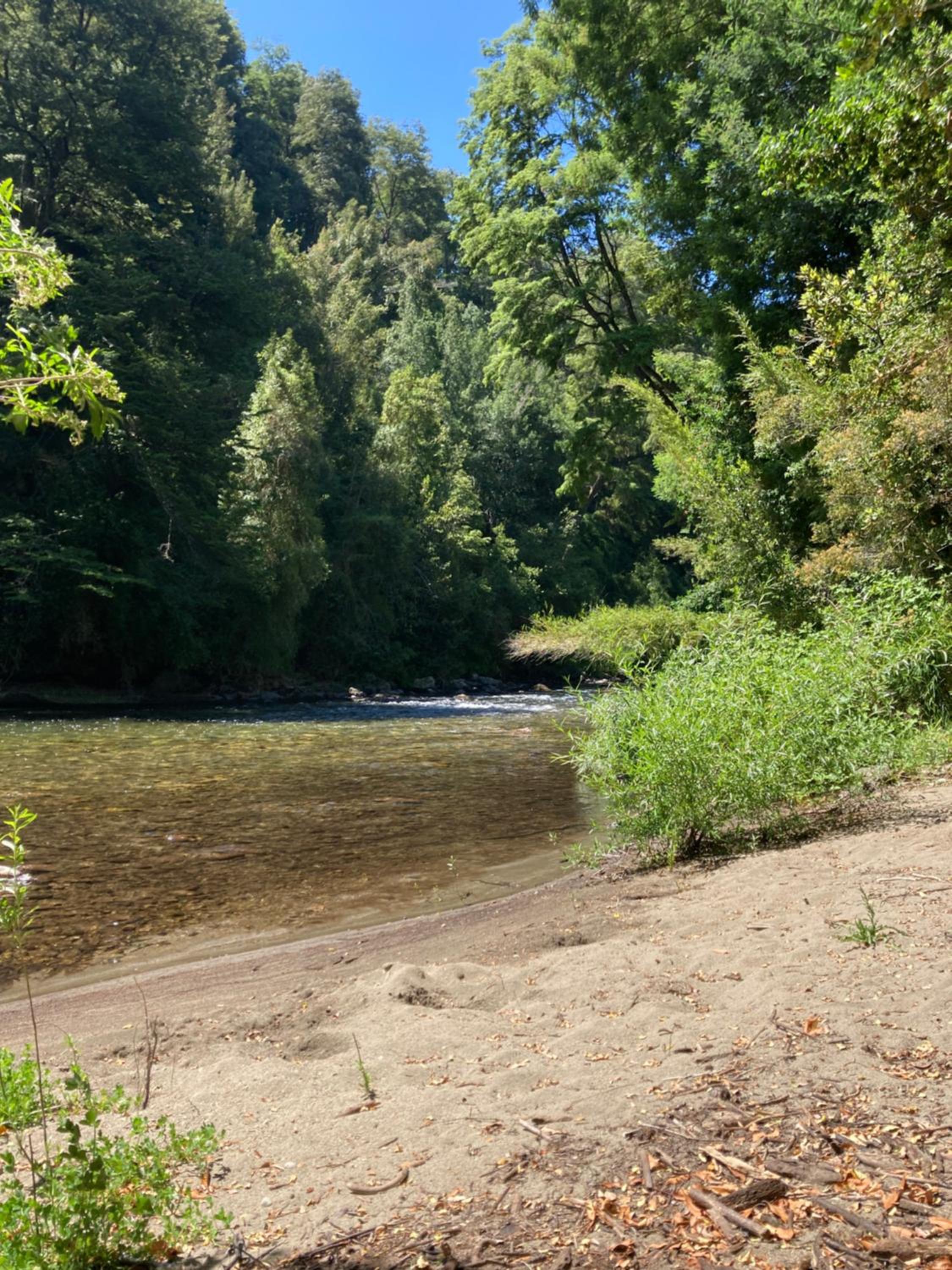 Los arrayanes de huife pucon