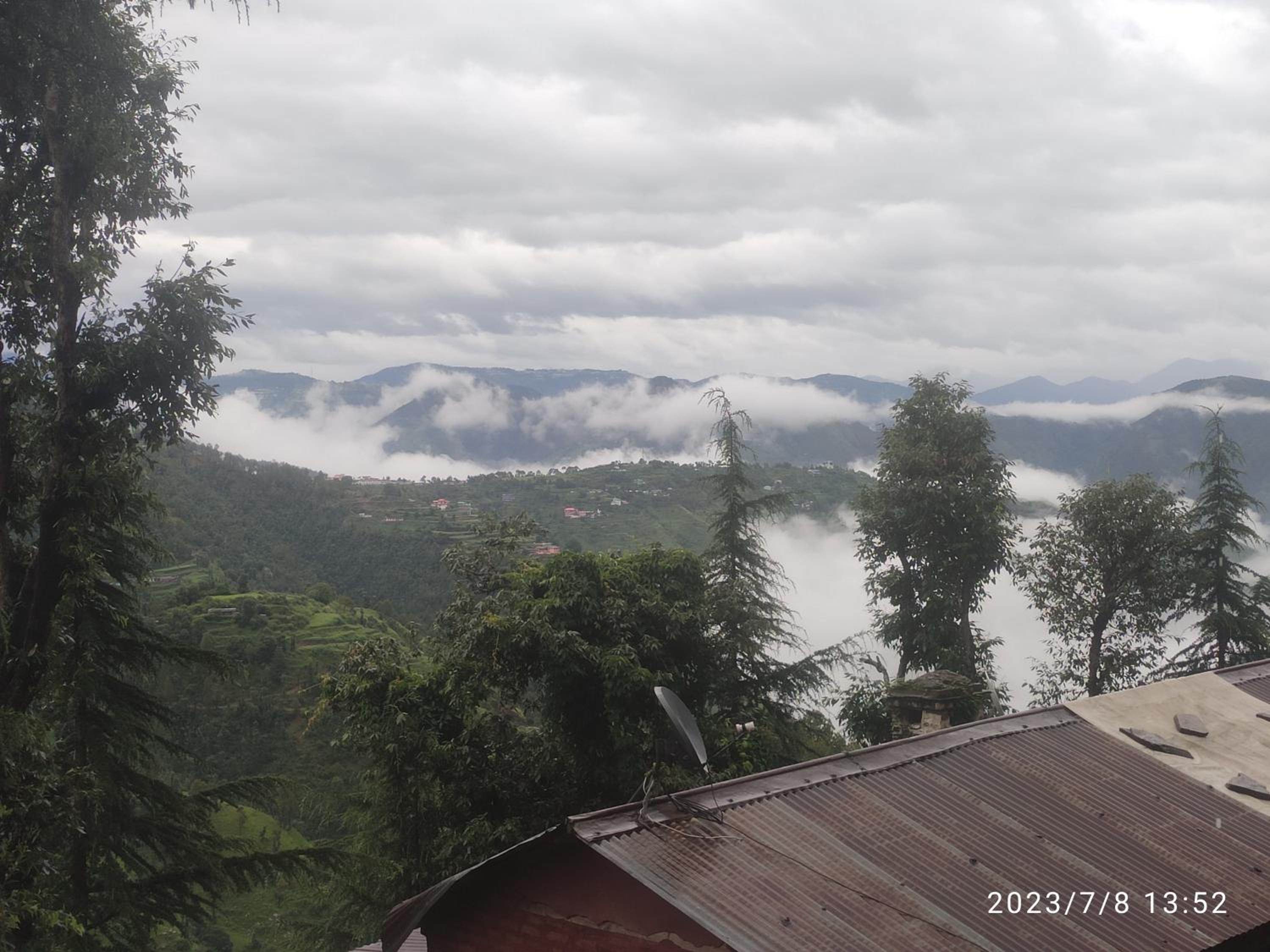 Tree Valley Homestay Chail