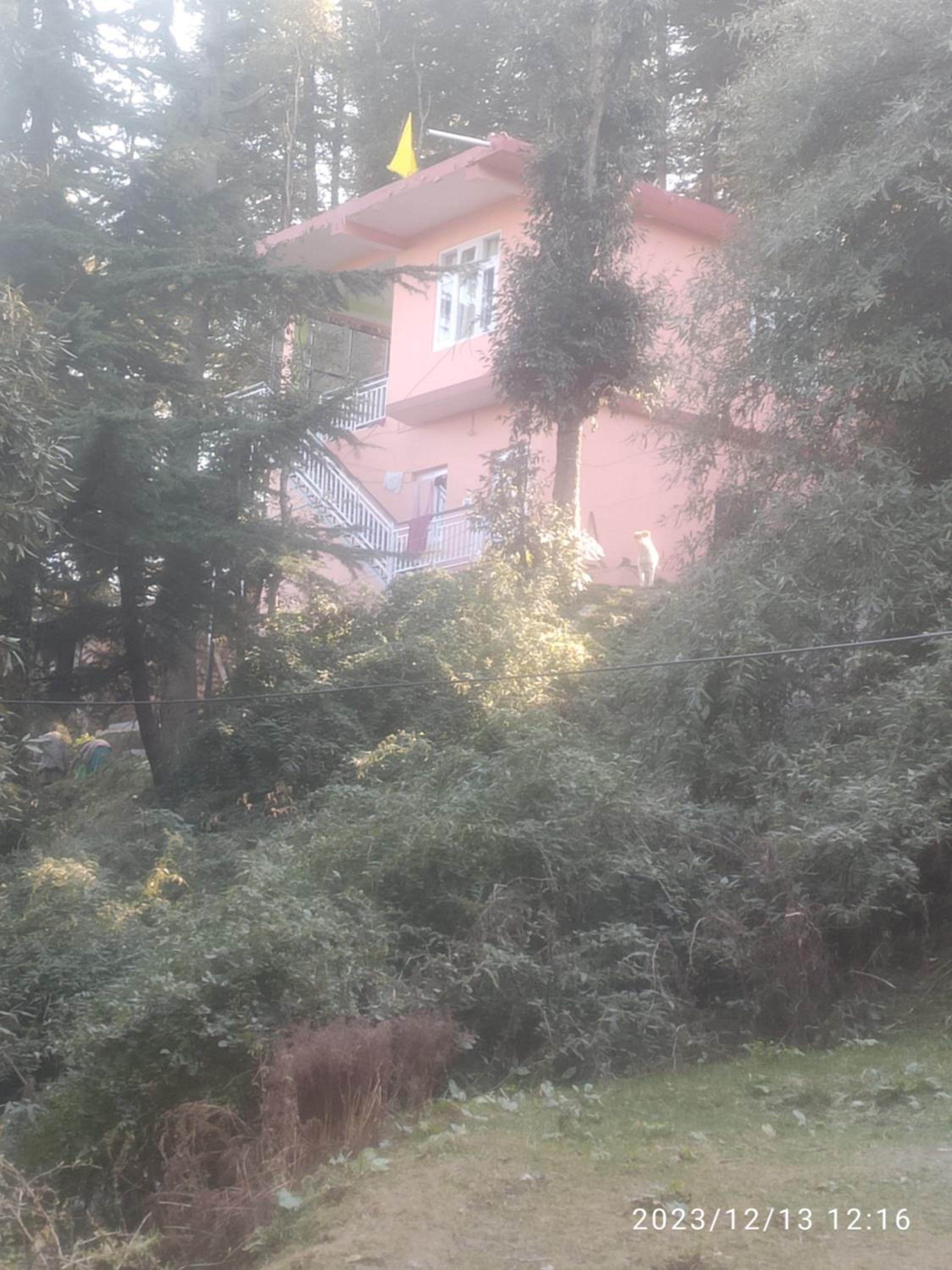 Tree Valley Homestay Chail