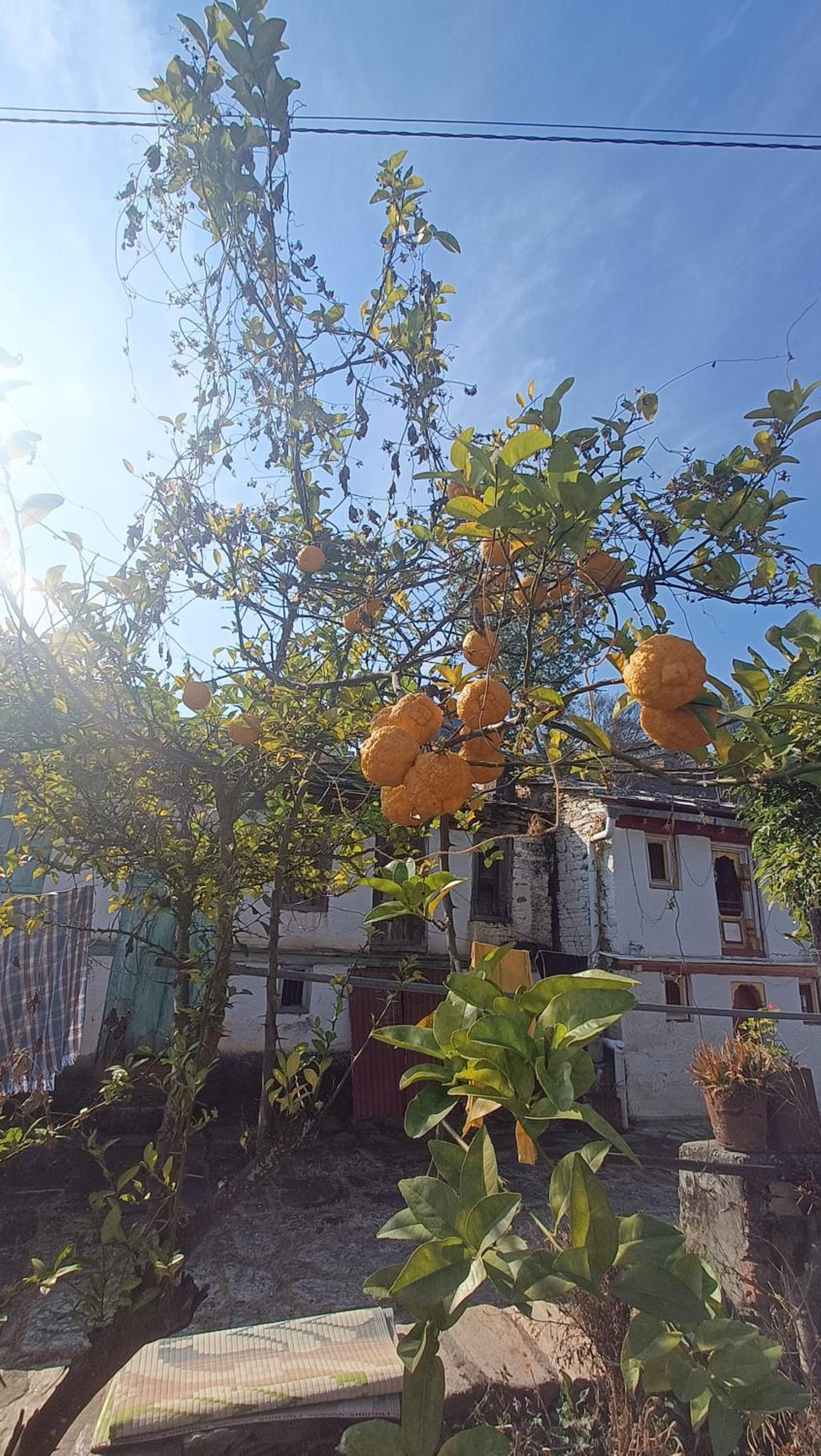 Shiva Heritage Homestay Khunt Almora view 4