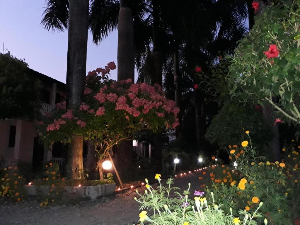Sauraha Resort