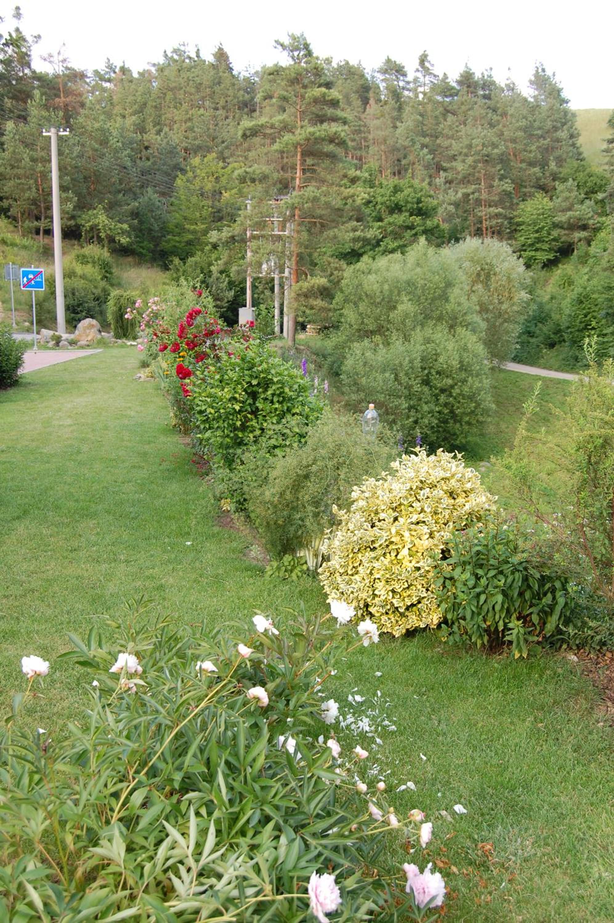 Guest house Hošek