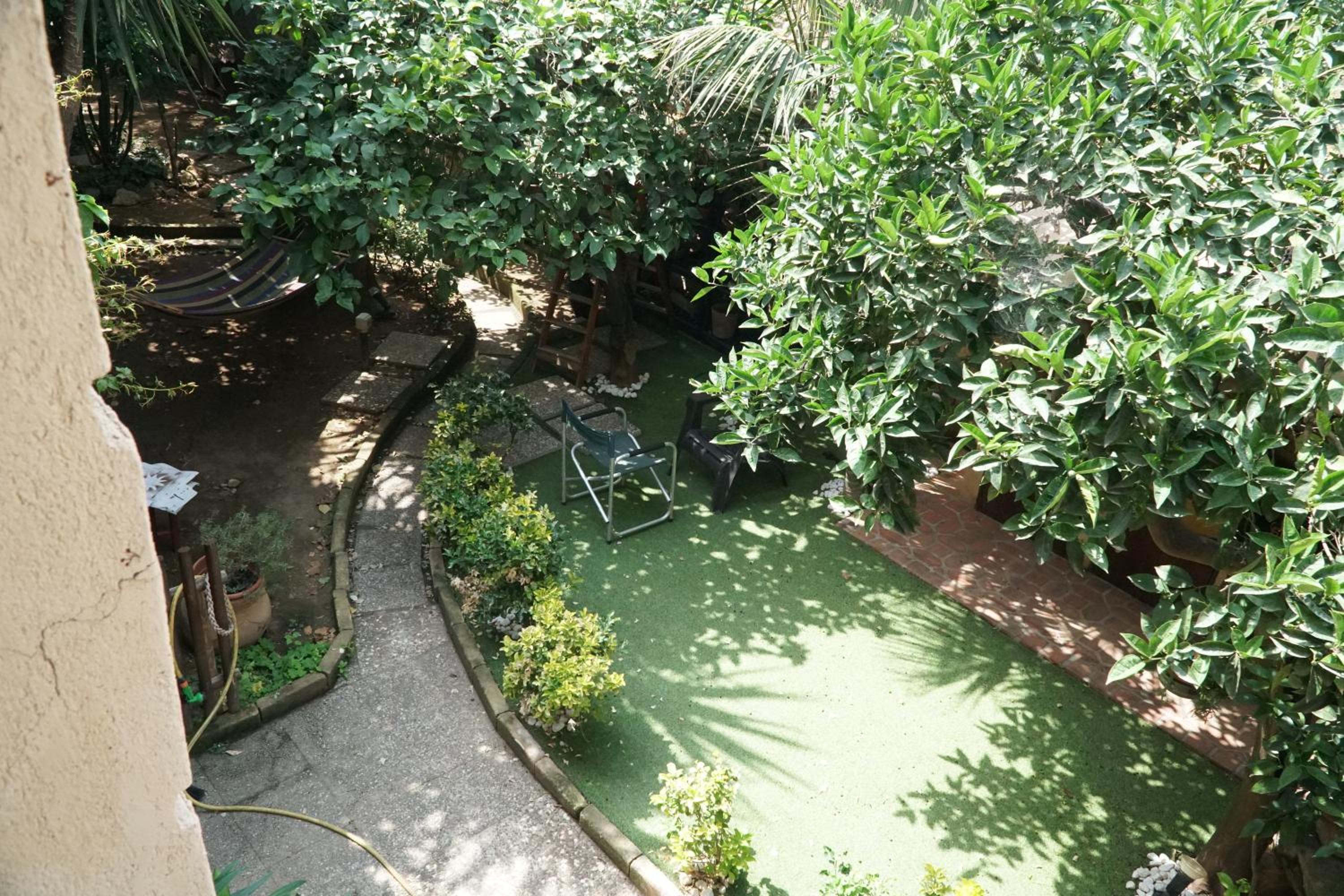 Photo 16