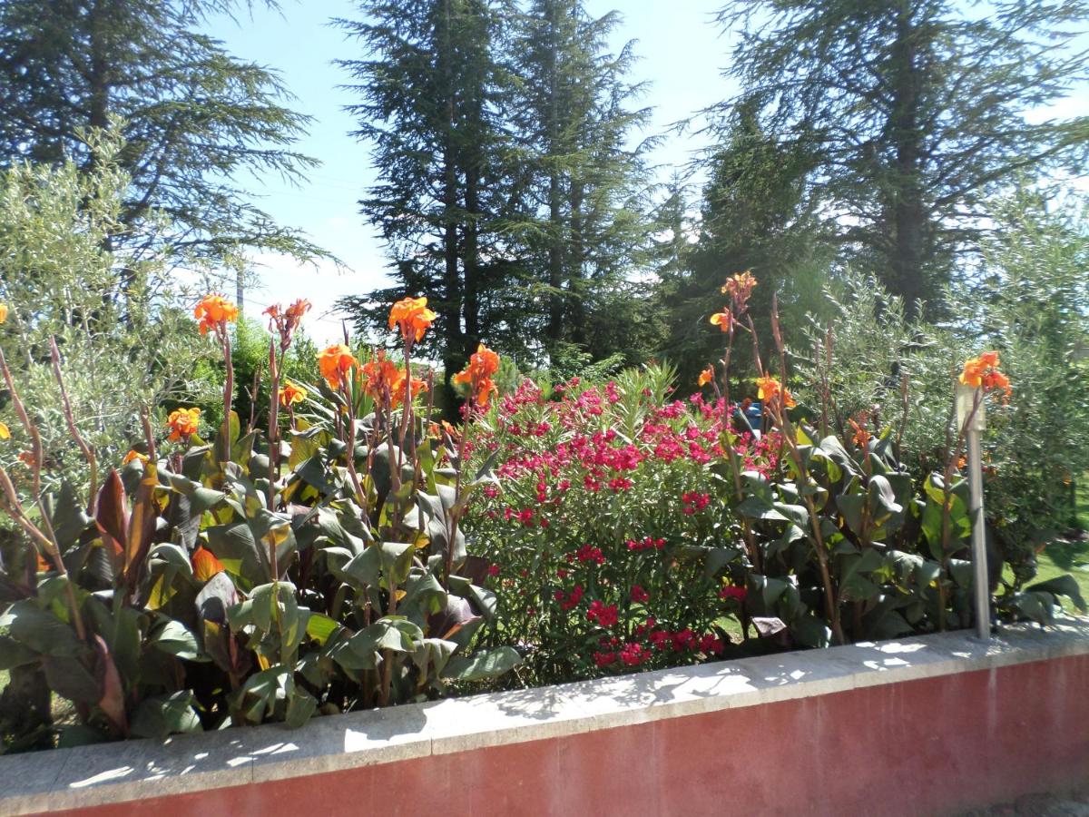 Photo 40