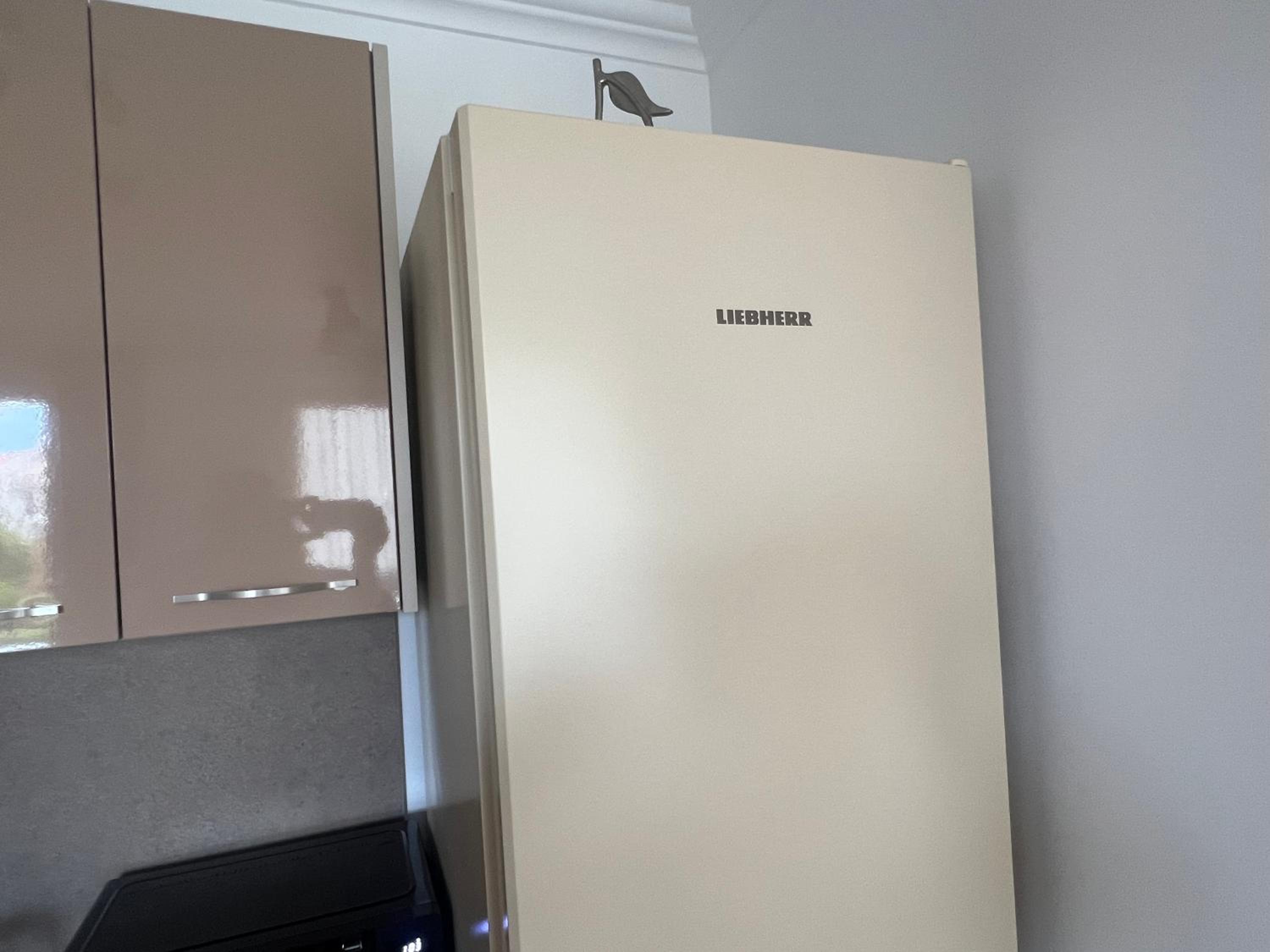 Phoenix APARTMENT Апартамент Феникс
