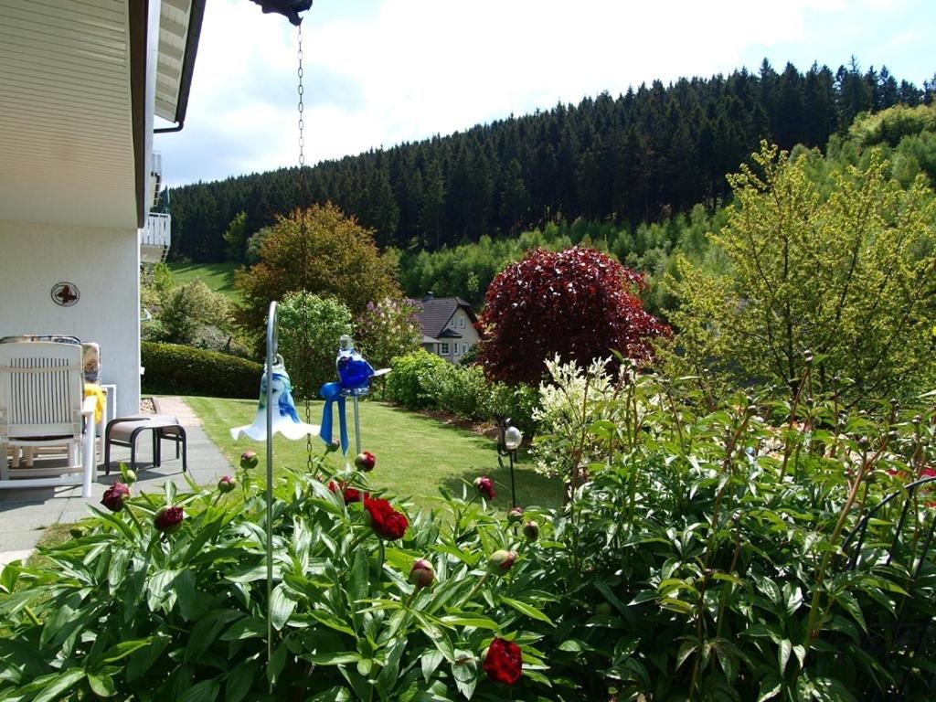 Linn view 5