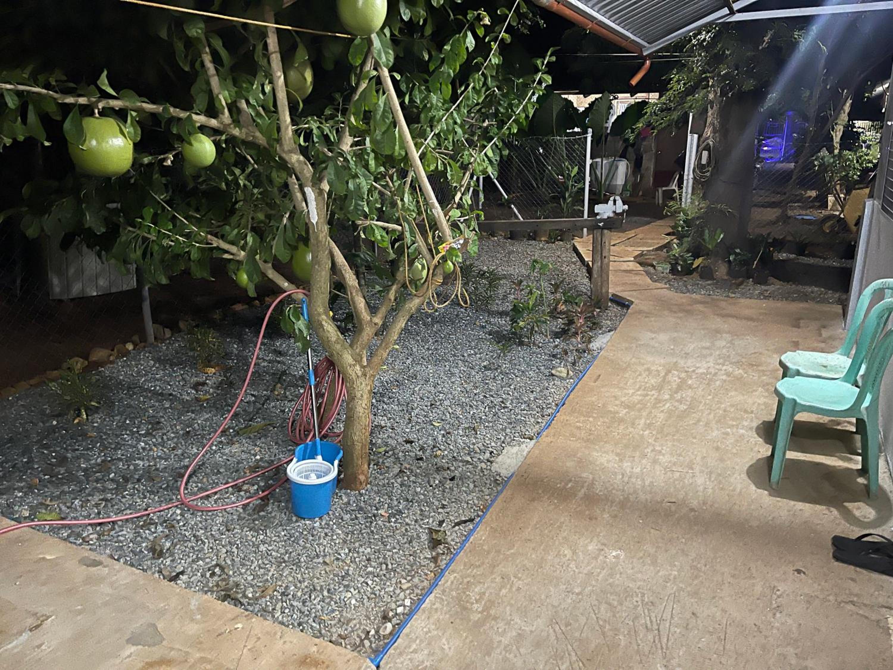 The Tamarind Tree view 2