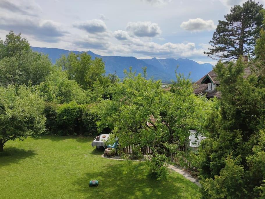 Gemütliches Garten-Apartment mit Bergblick