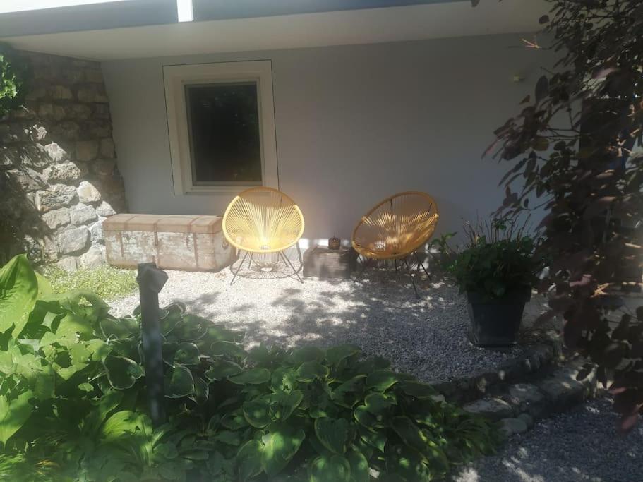 Gemütliches Garten-Apartment mit Bergblick