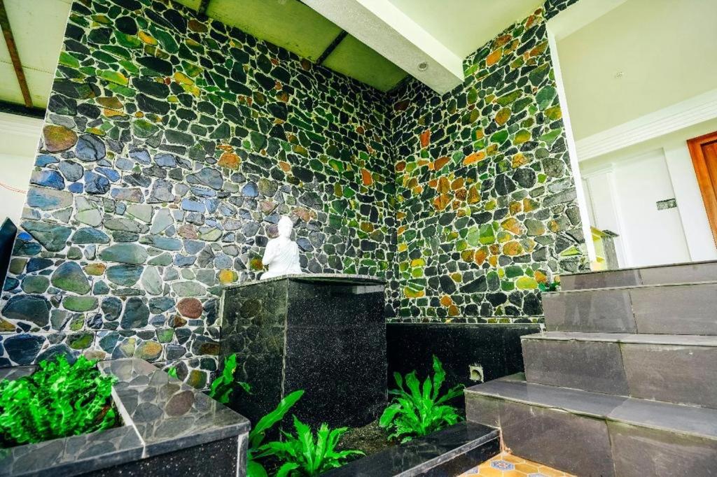 Kaya Coorg