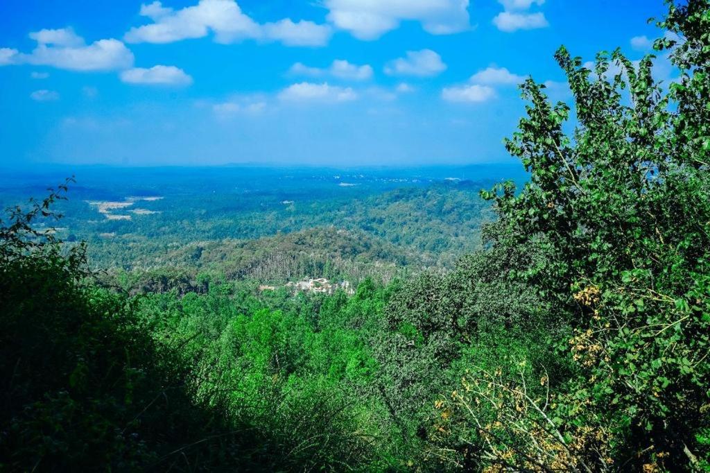 Kaya Coorg
