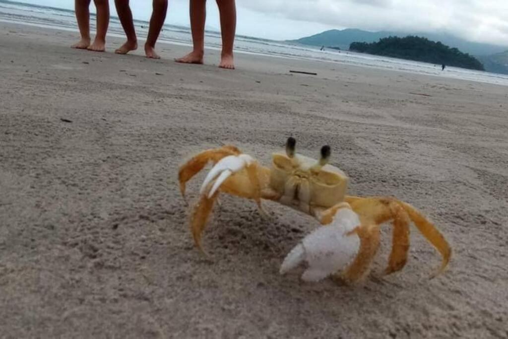 Chalé Mar doce Lar
