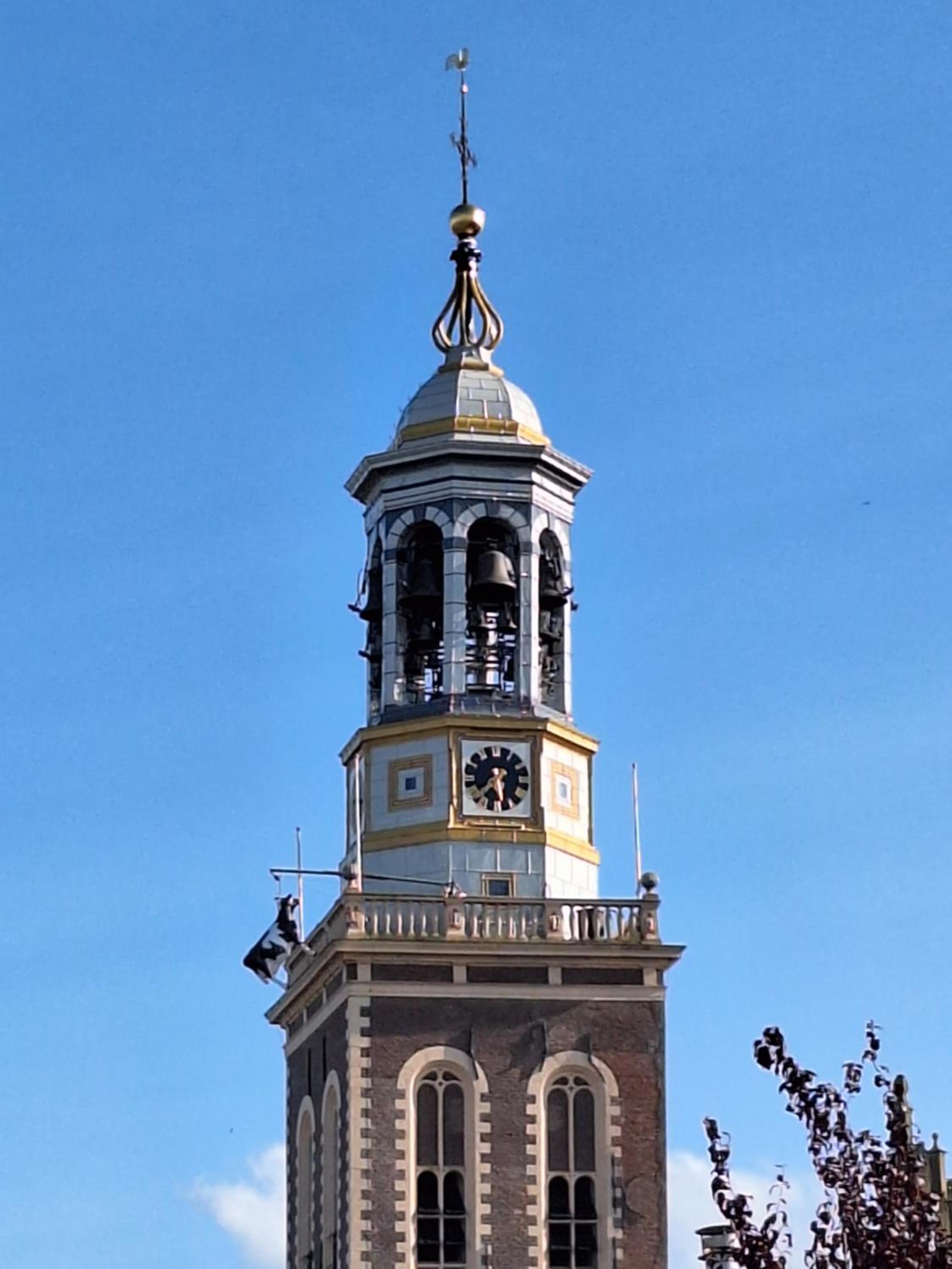 Photo 17
