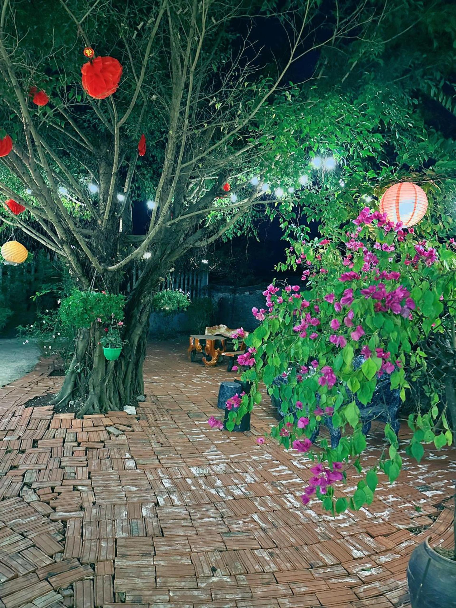 Nice homestay in Ninh Binh
