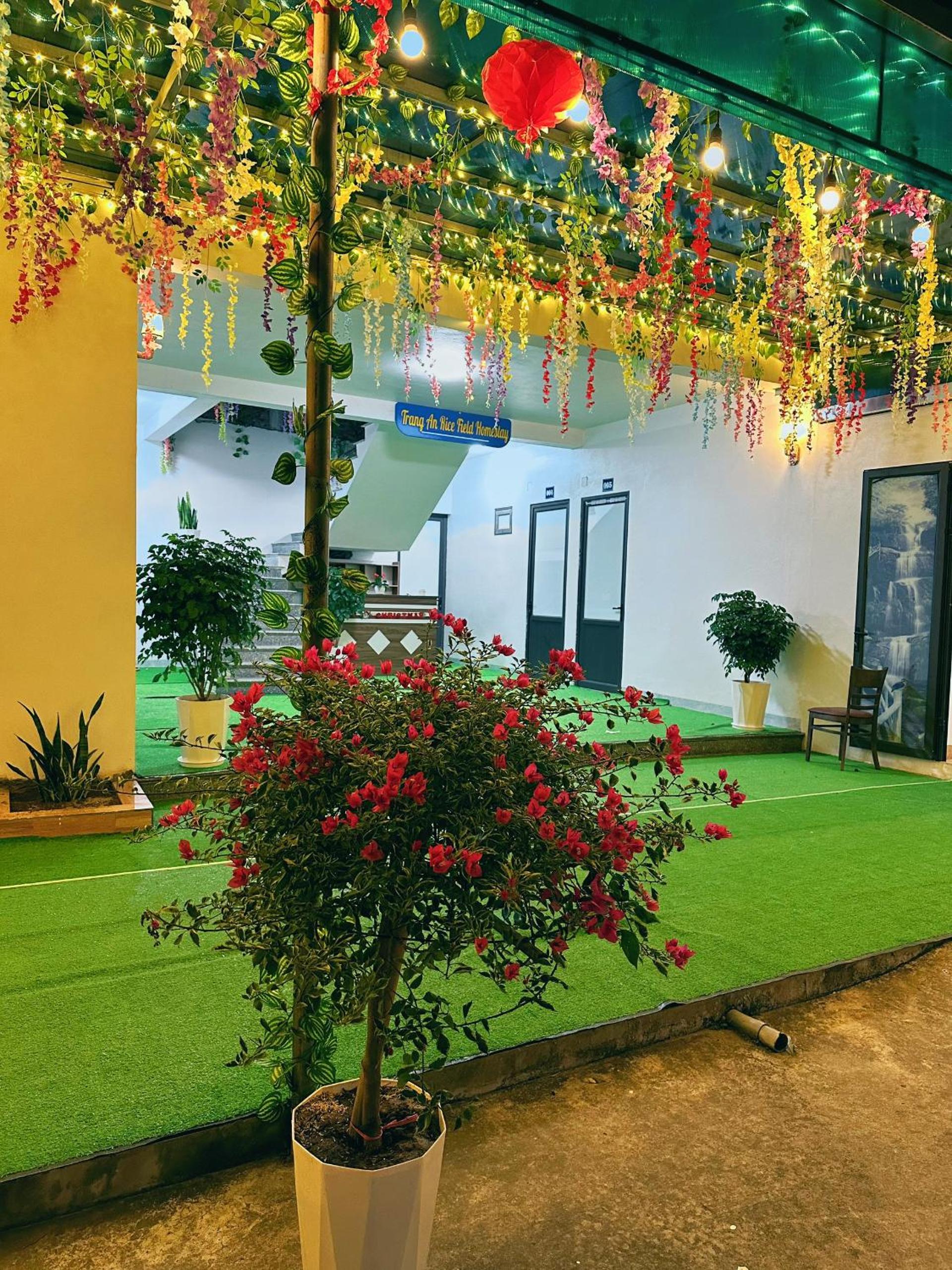 Nice homestay in Ninh Binh