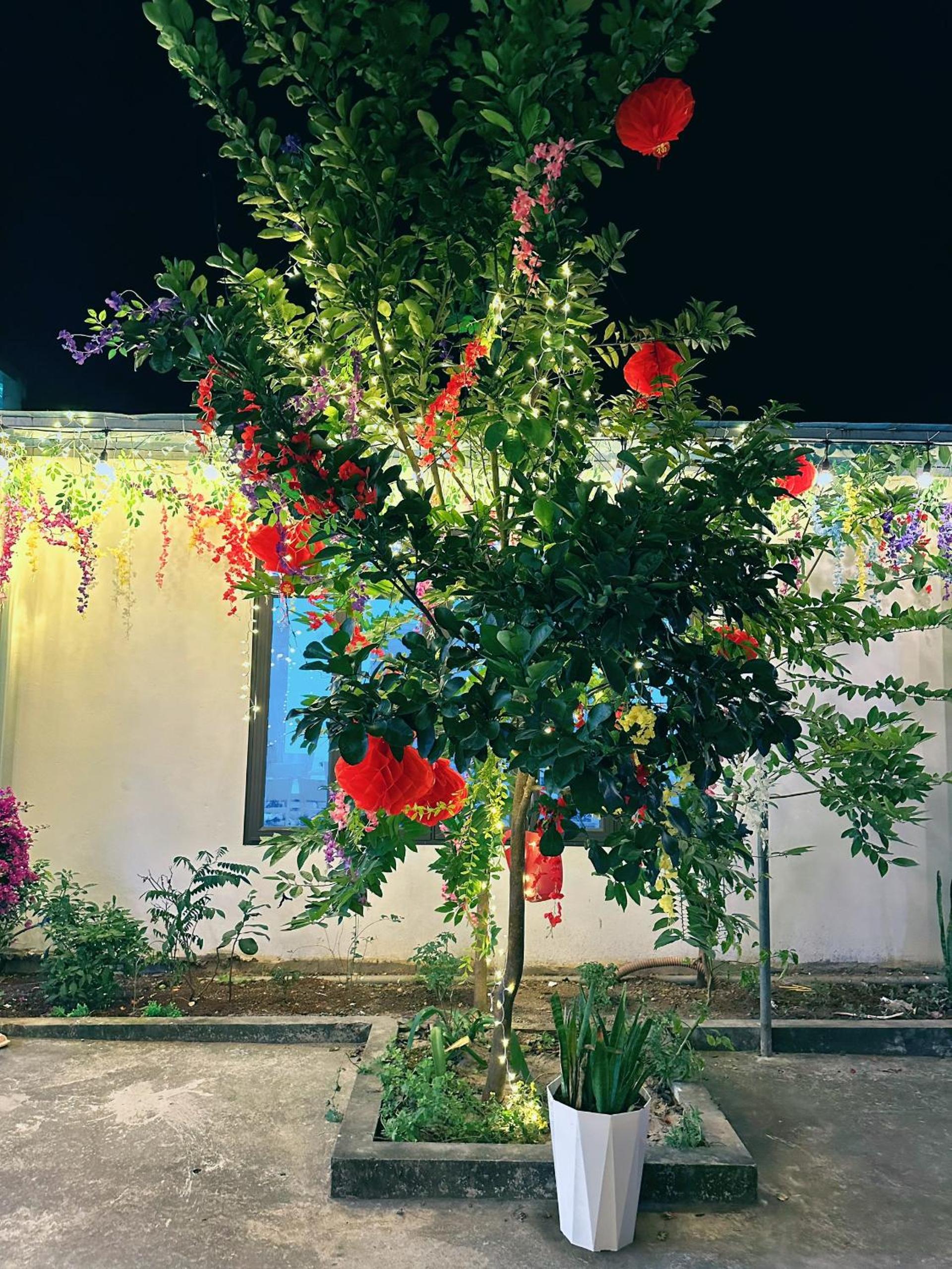 Nice homestay in Ninh Binh