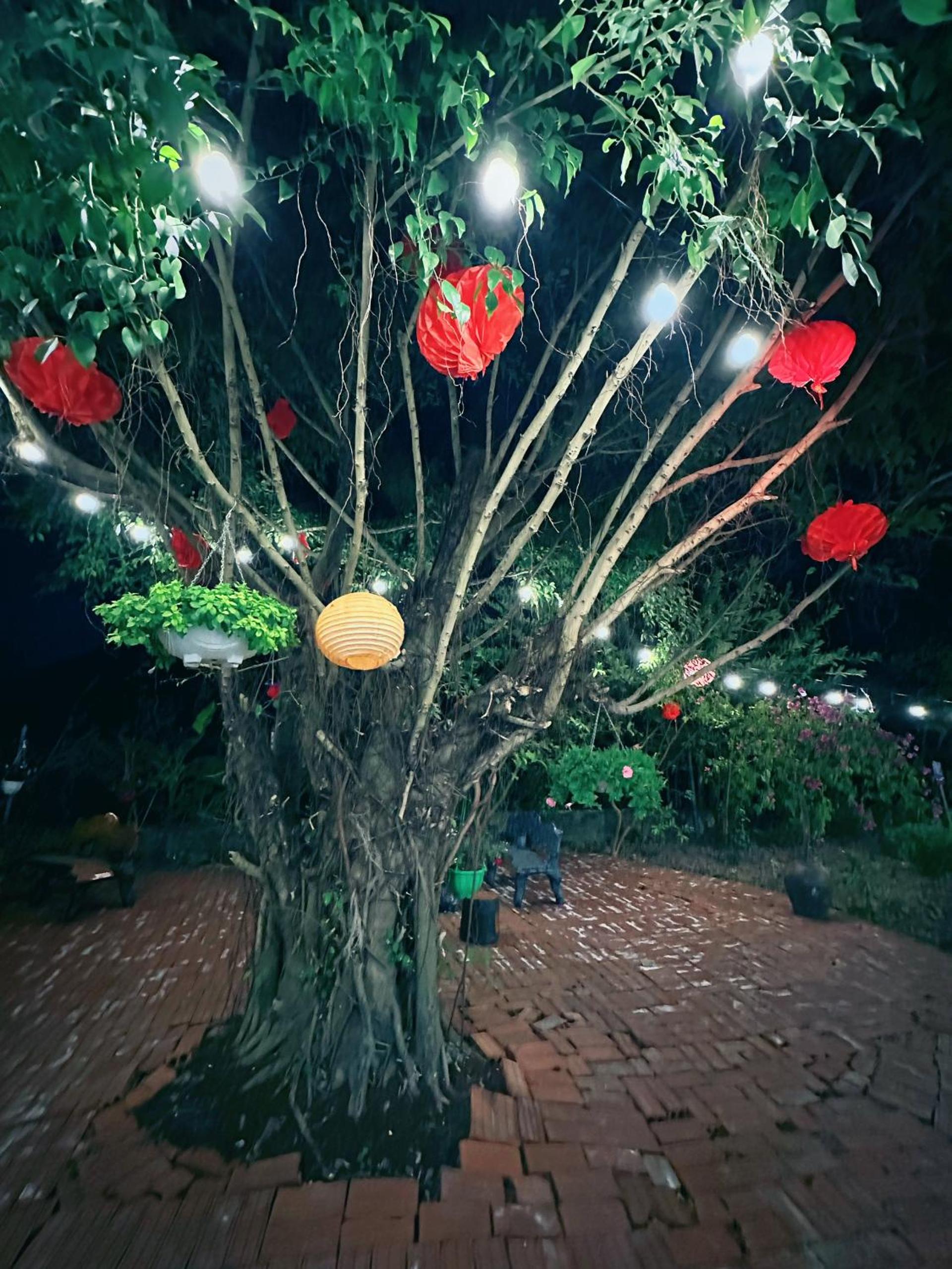 Nice homestay in Ninh Binh