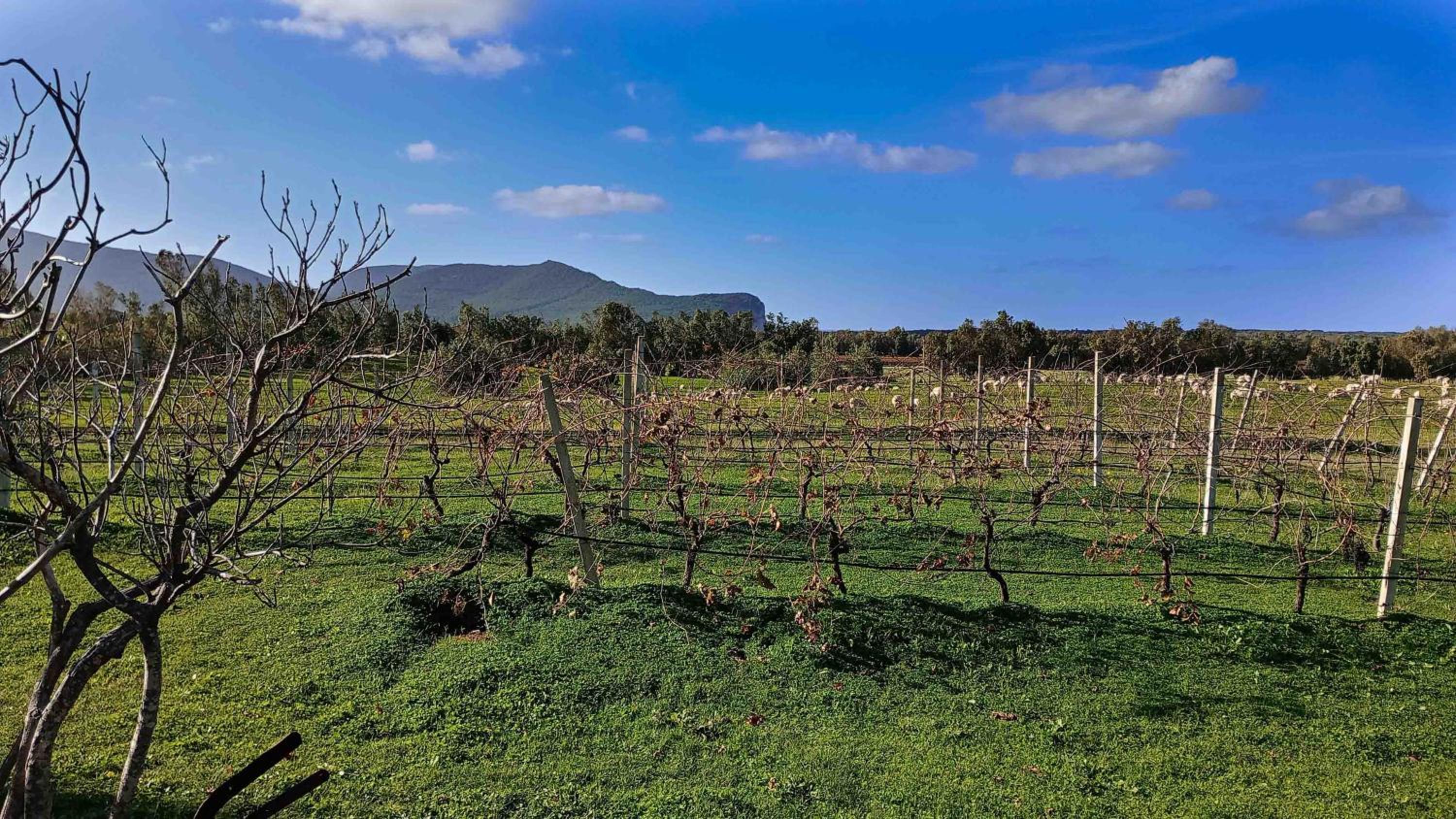 Photo 55
