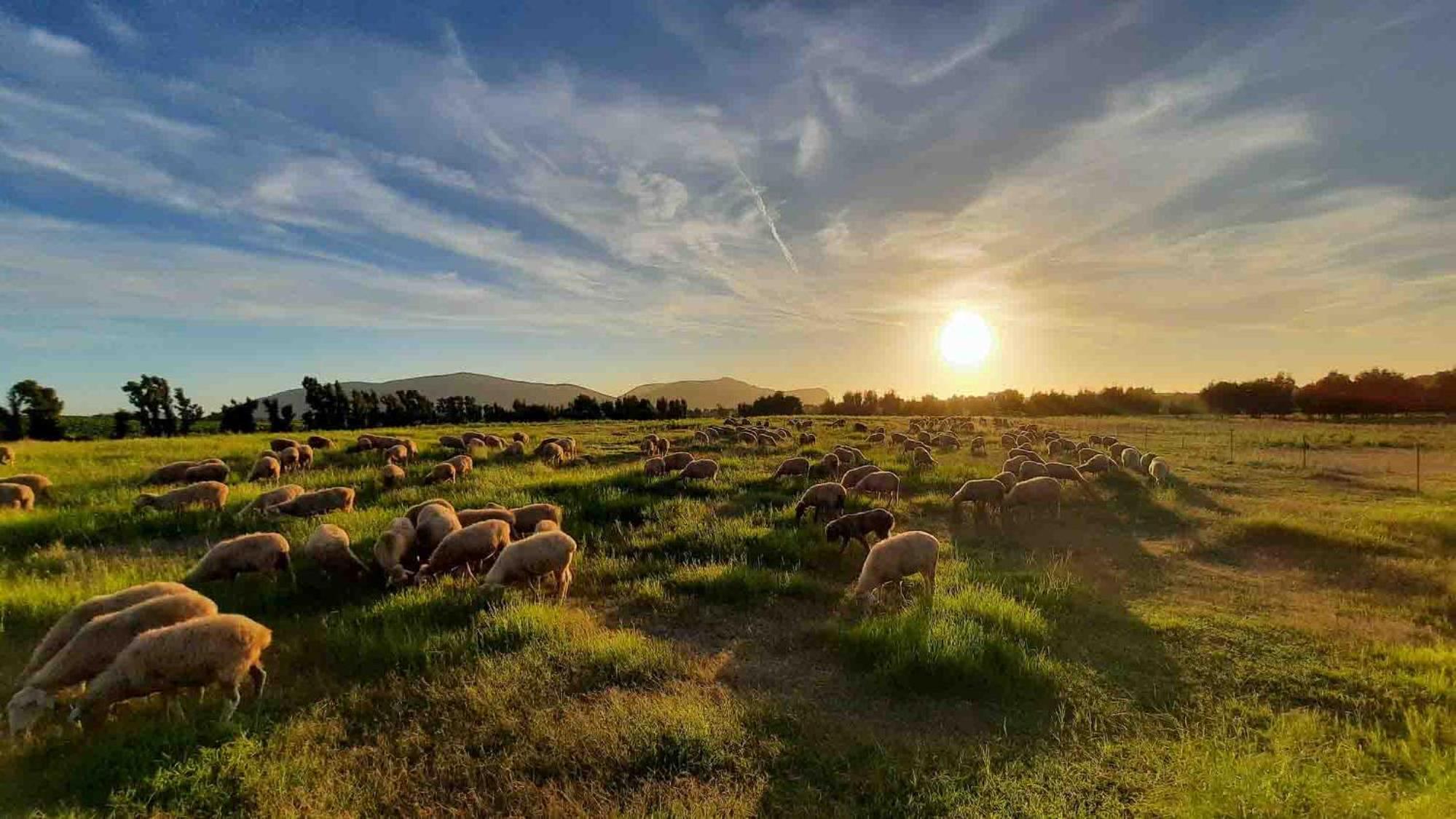 Alghero - Grotte di Nettuno cortes view 2