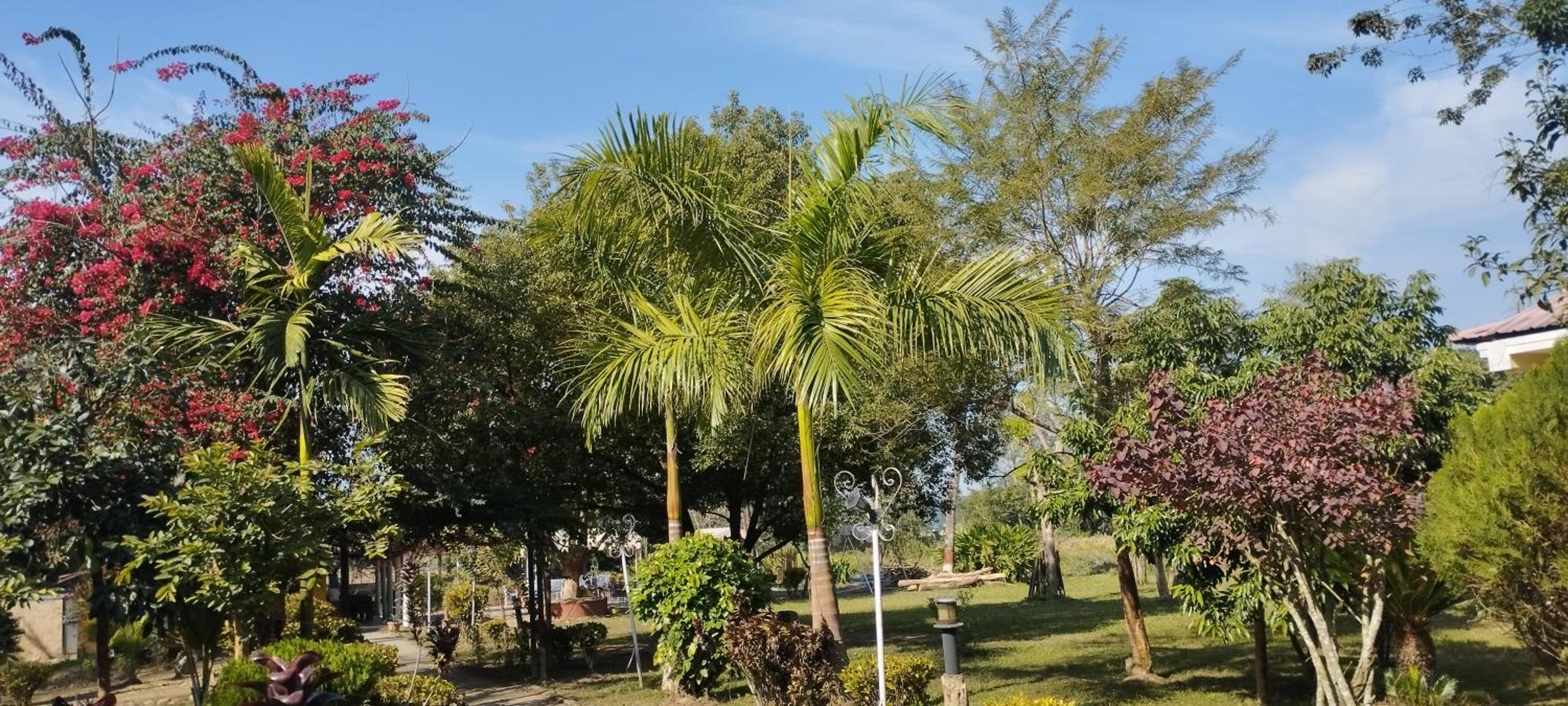 River Park International Resort
