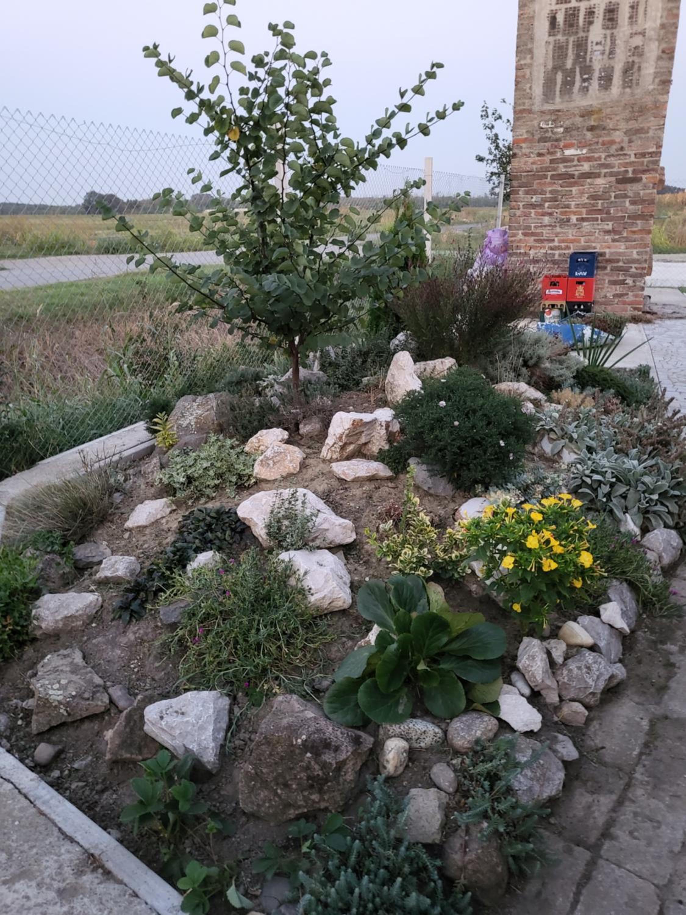 Photo 27