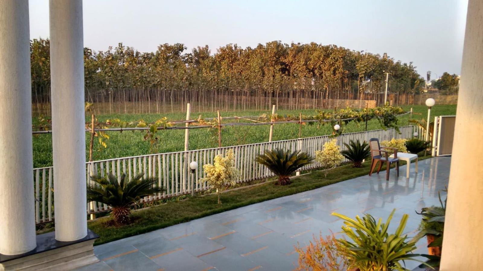 Bhagrecha Farms - A memorable Farm Stay view 3