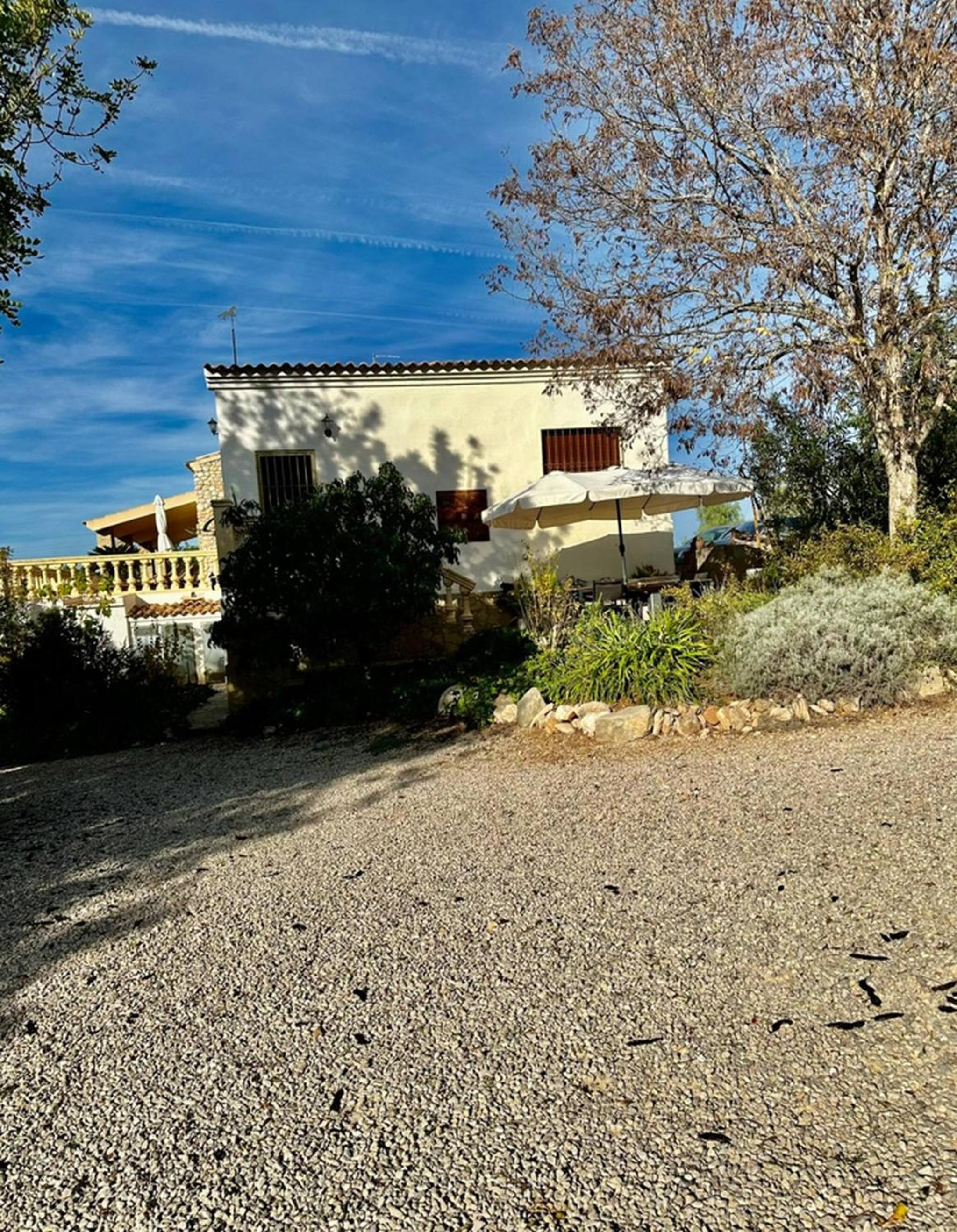 Rural House Sunflowers Calig view 2
