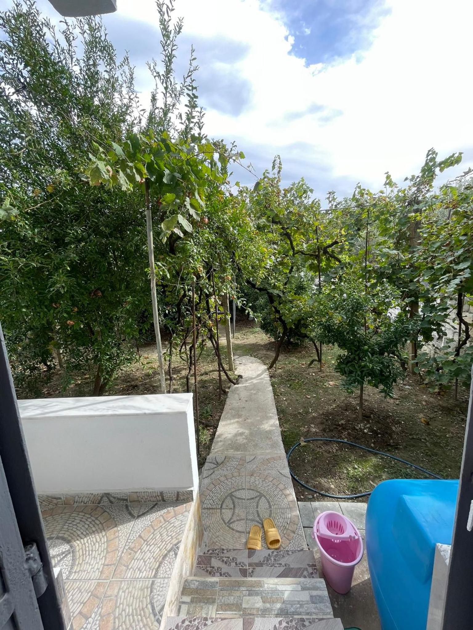 Guesthouse Albi