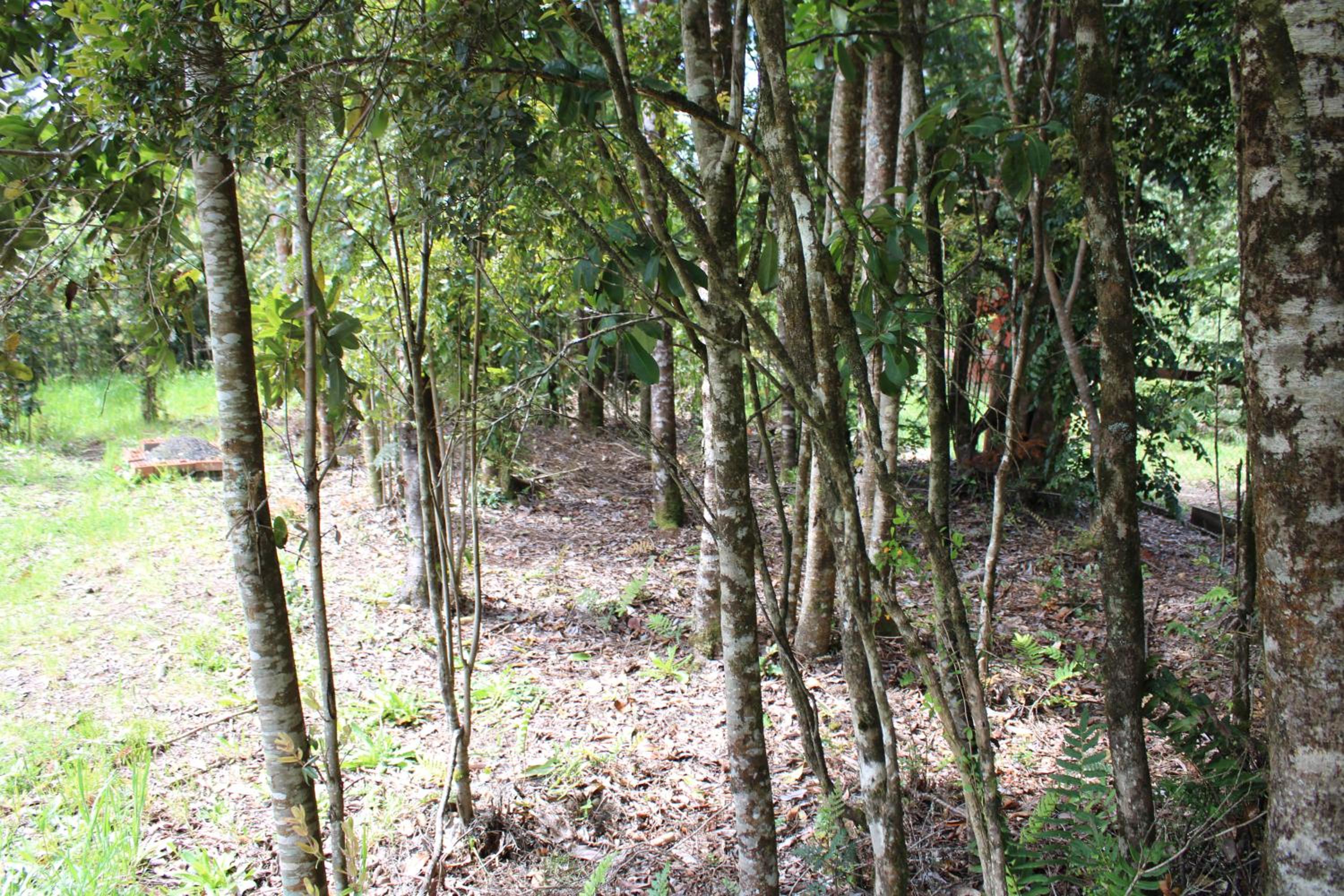 TuArriendoCL-Los Canelos - Cabaña de Campo en Puerto Varas 2D2B 7PAX, camino La Laja