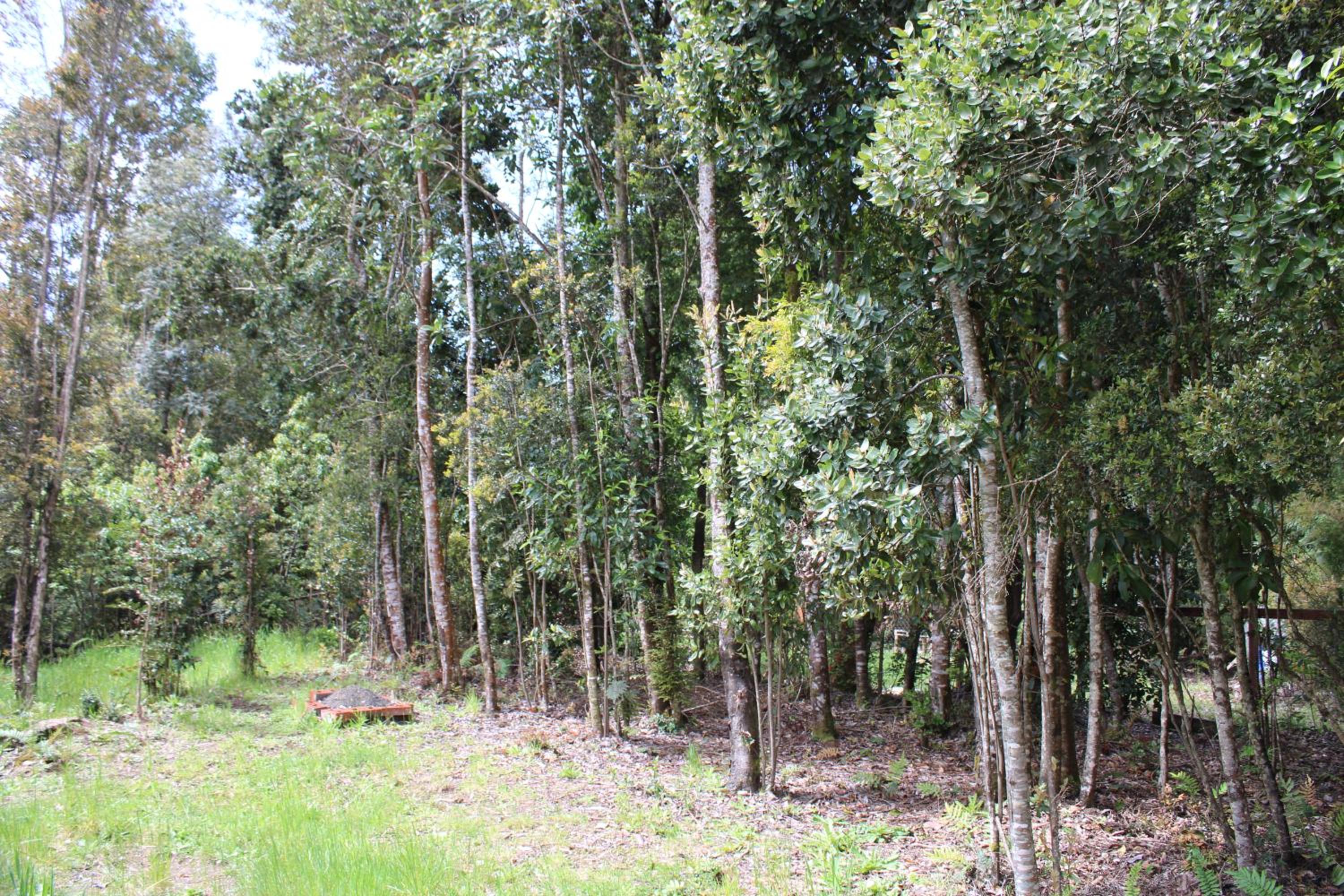 TuArriendoCL-Los Canelos - Cabaña de Campo en Puerto Varas 2D2B 7PAX, camino La Laja