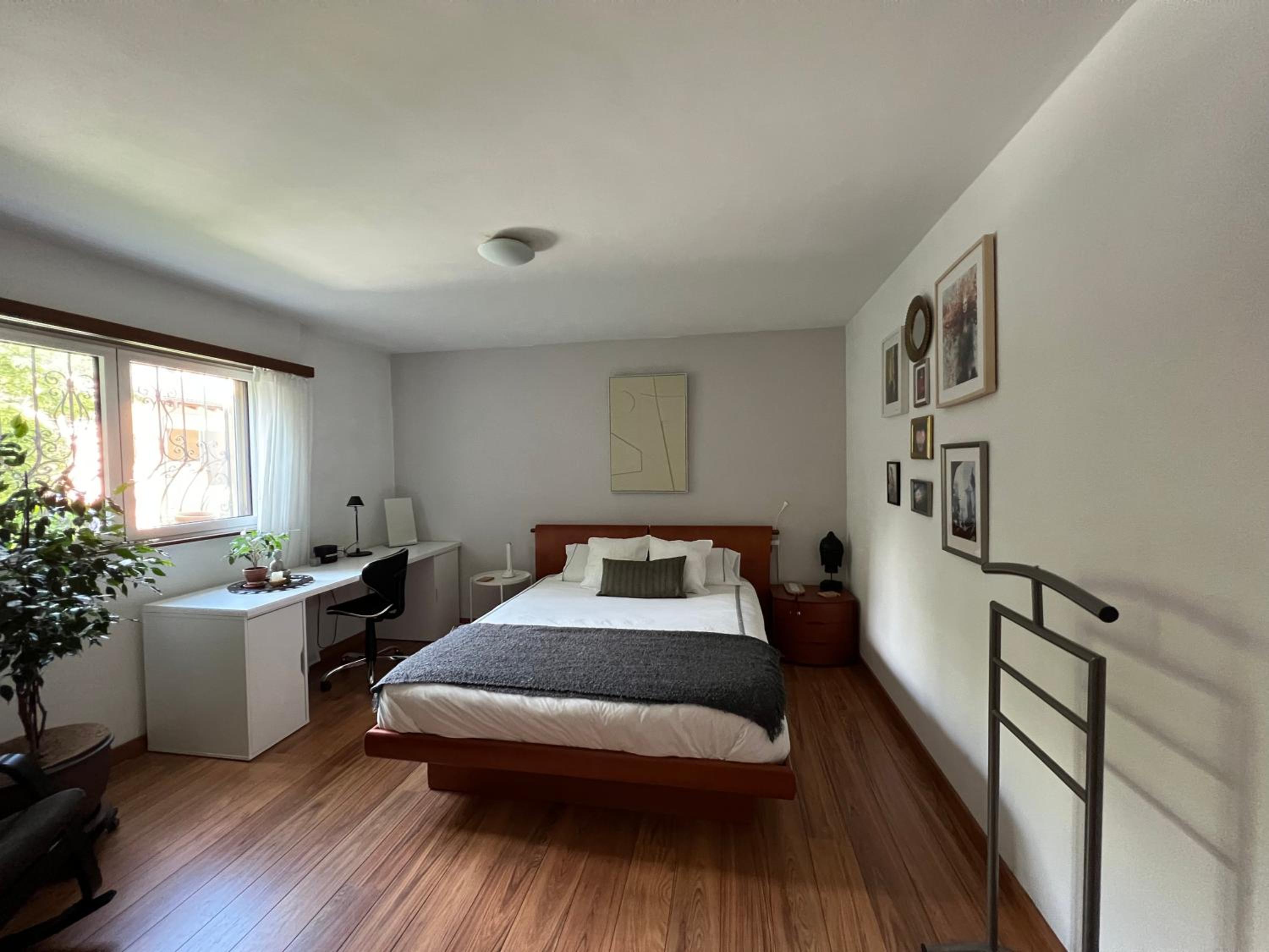 The Comfy Apartment