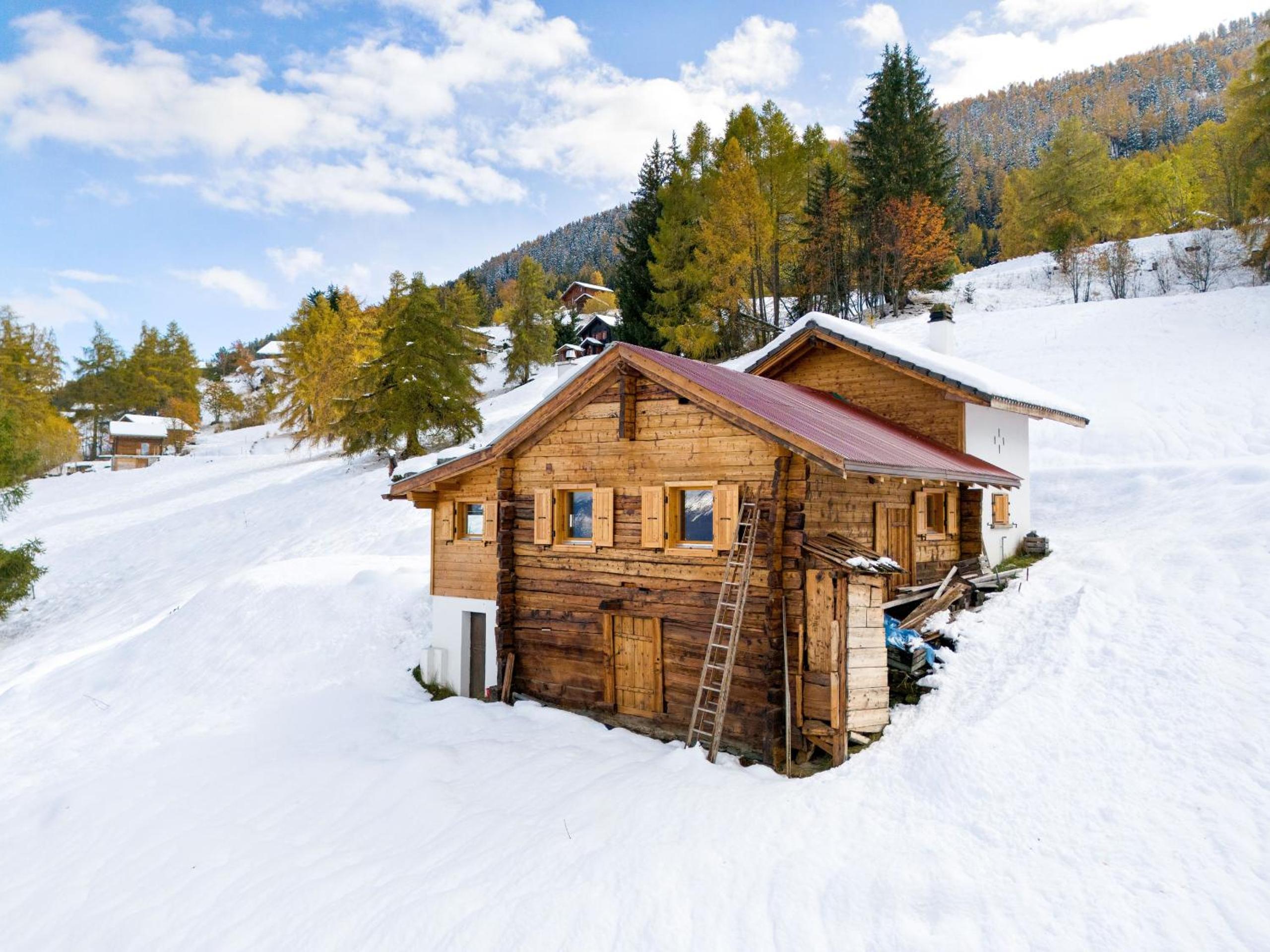 Les Morilles - 5 pers - authentique - sur les pistes