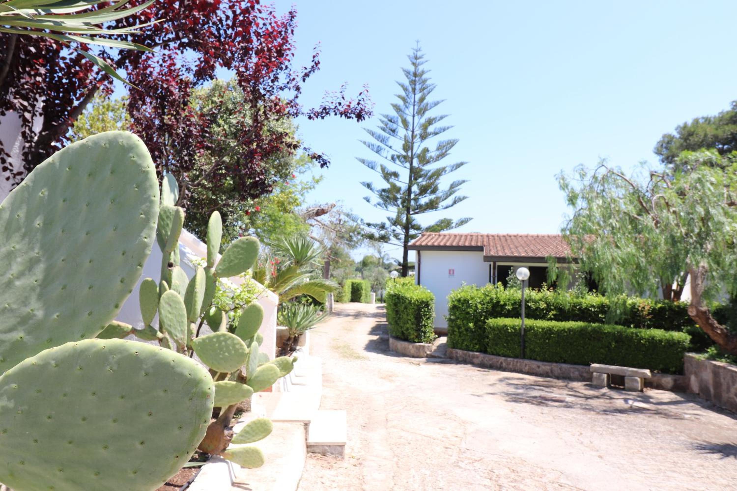 Casa Primus Torre Santo Stefano photo 5