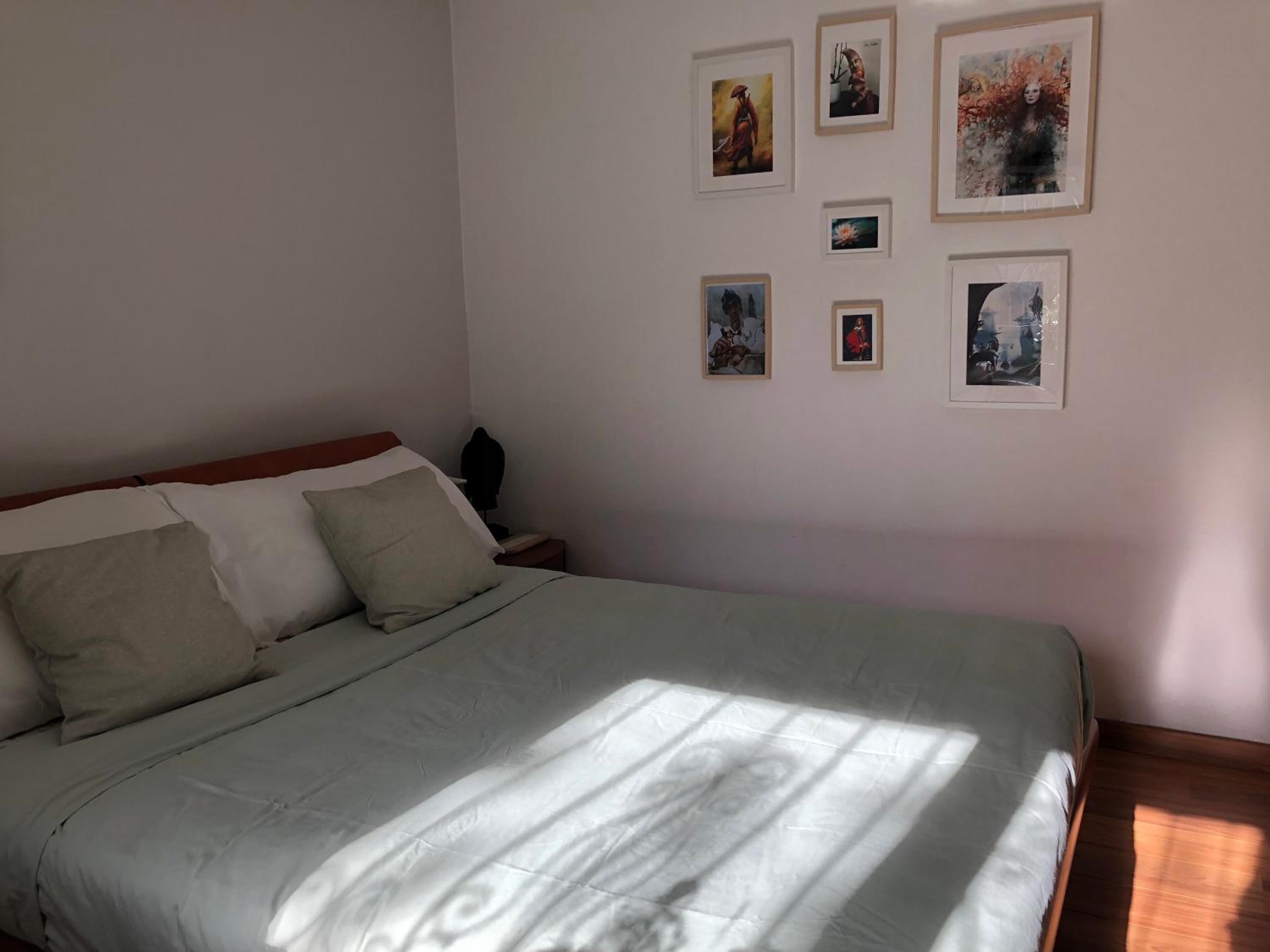 The Comfy Apartment