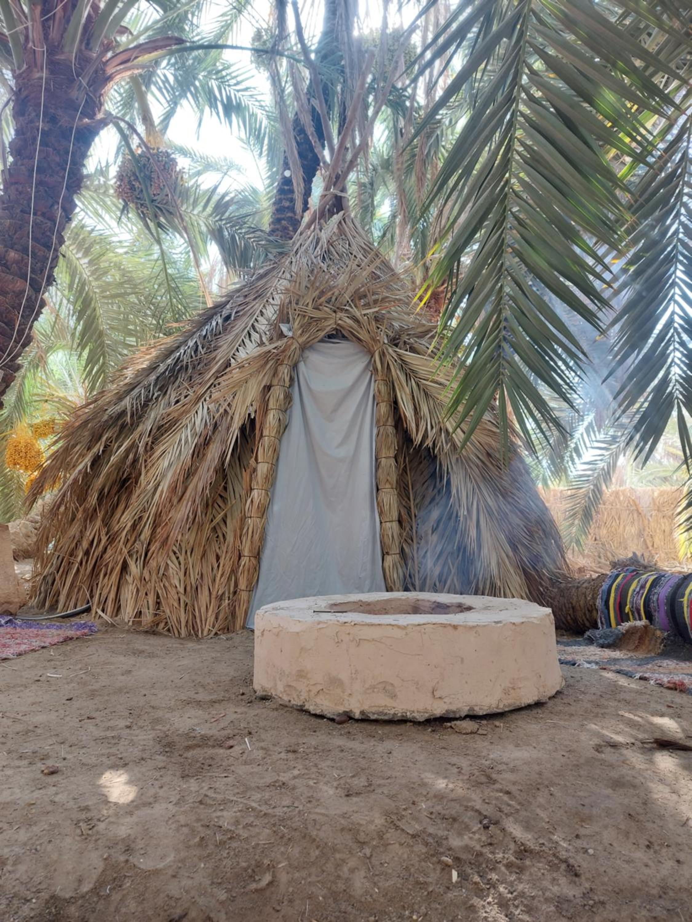Forest Camp Siwa - كامب الغابة
