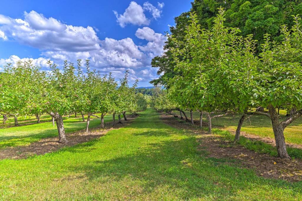 Terrace Mountain Orchard House
