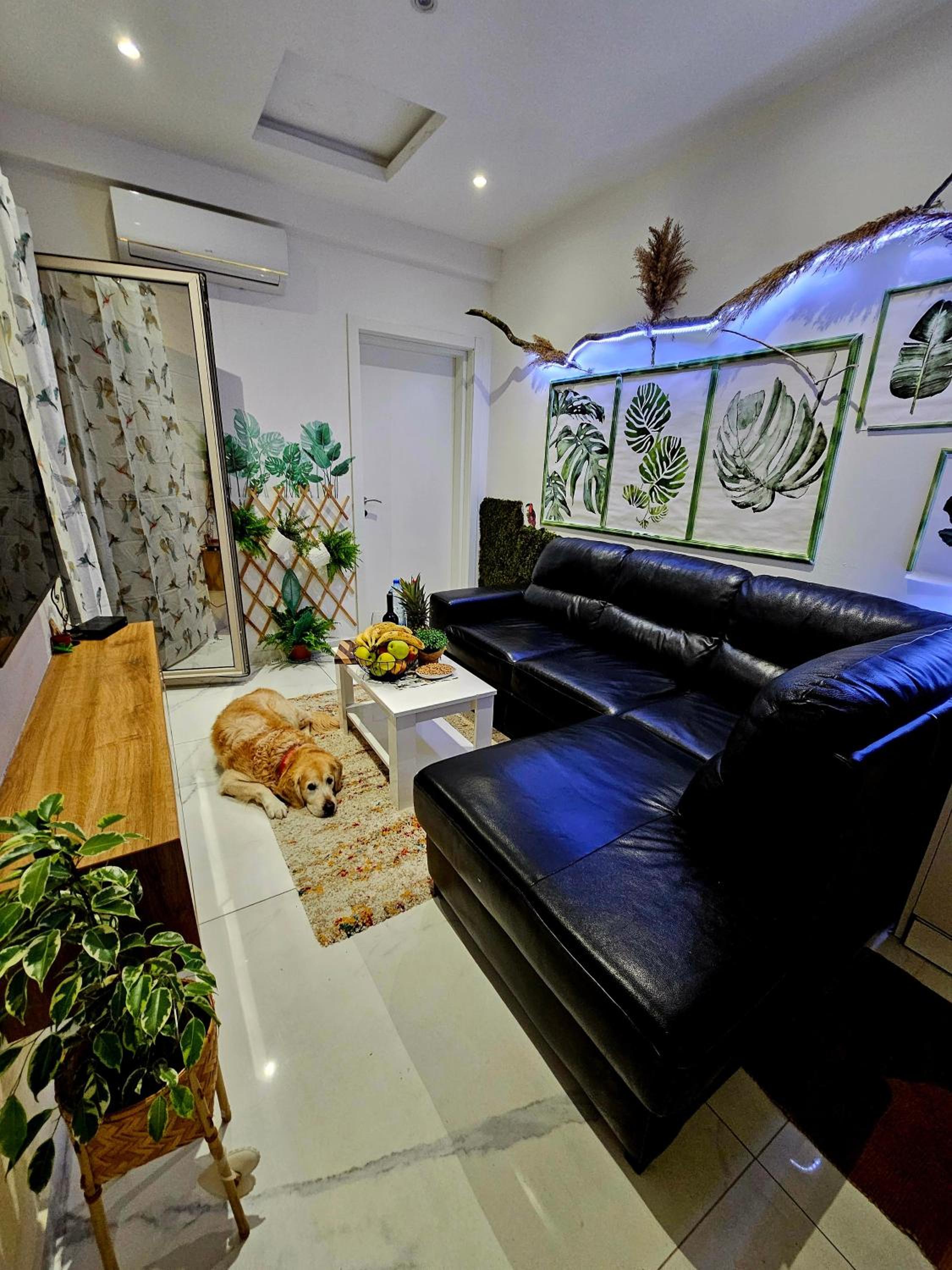 Boutique apartman Dora jungle