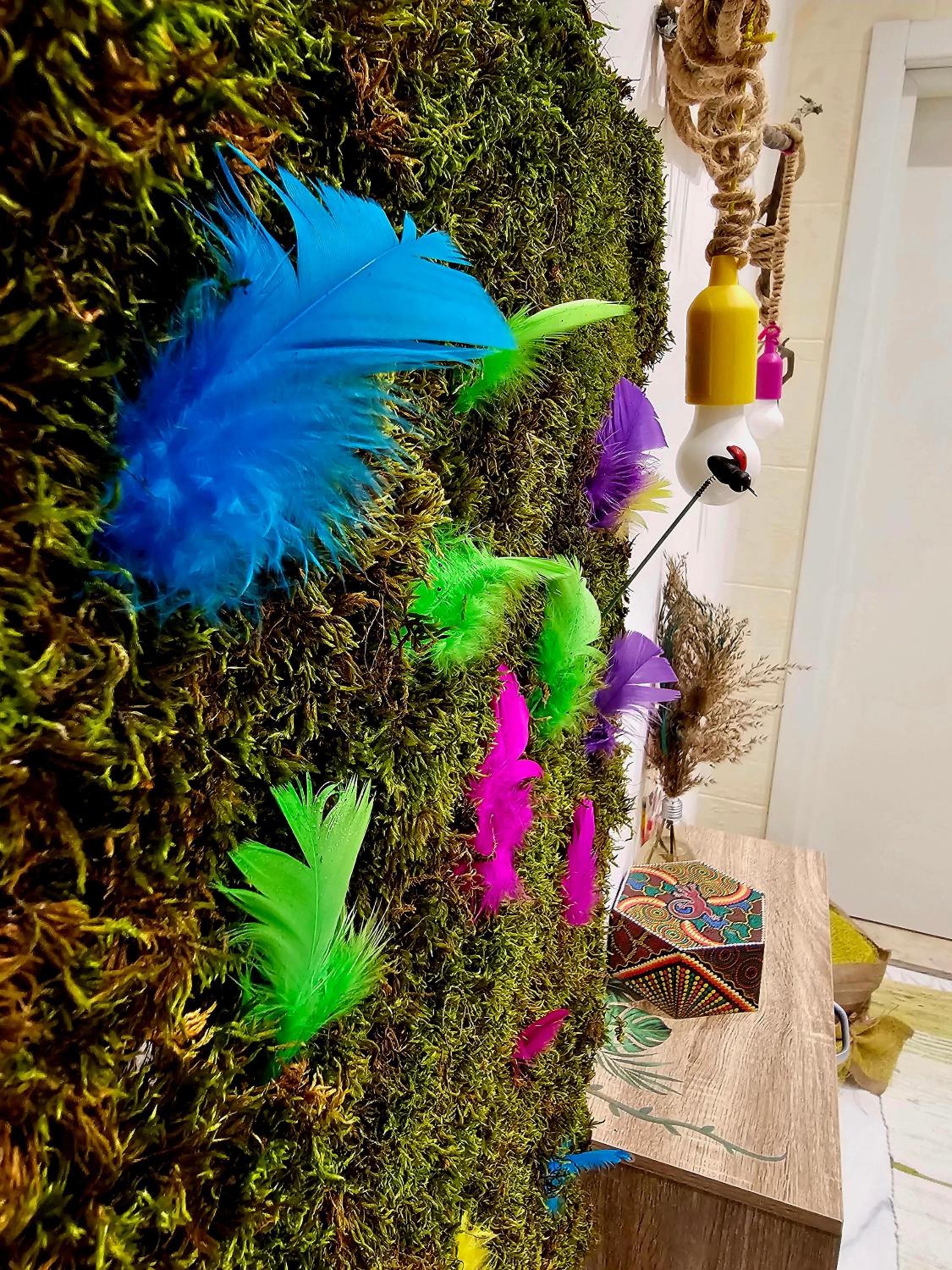 Boutique apartman Dora jungle