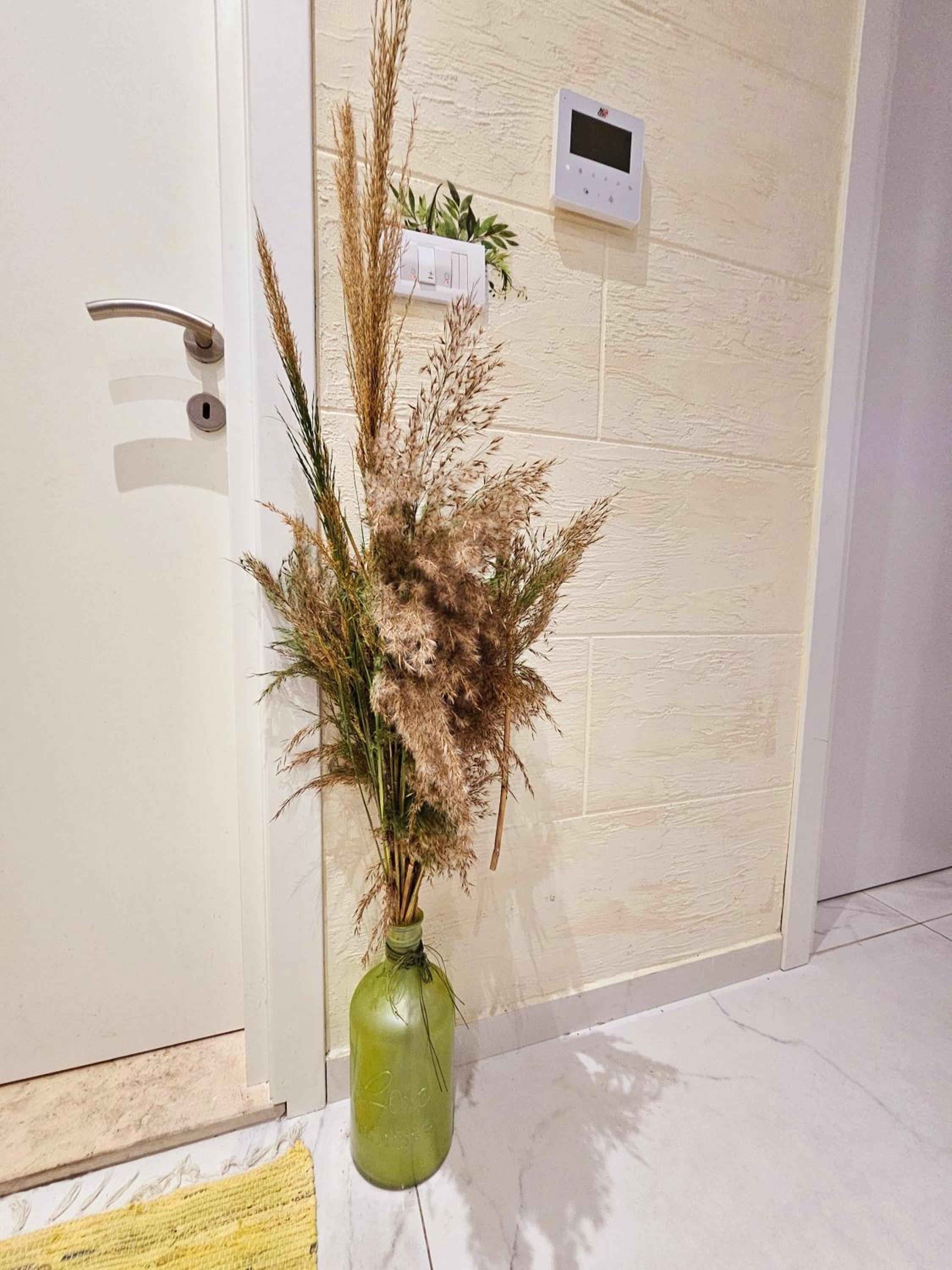 Boutique apartman Dora jungle