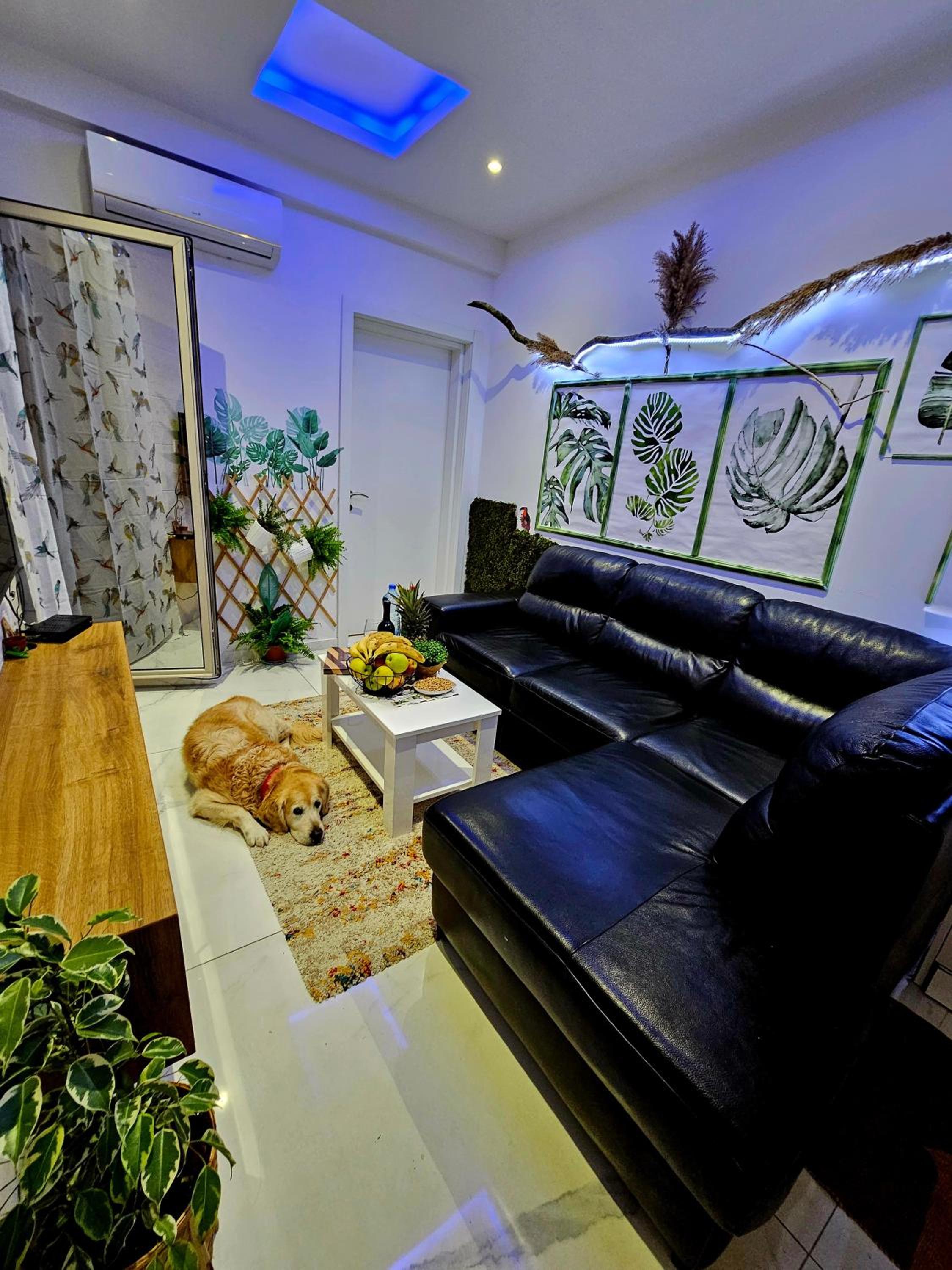 Boutique apartman Dora jungle
