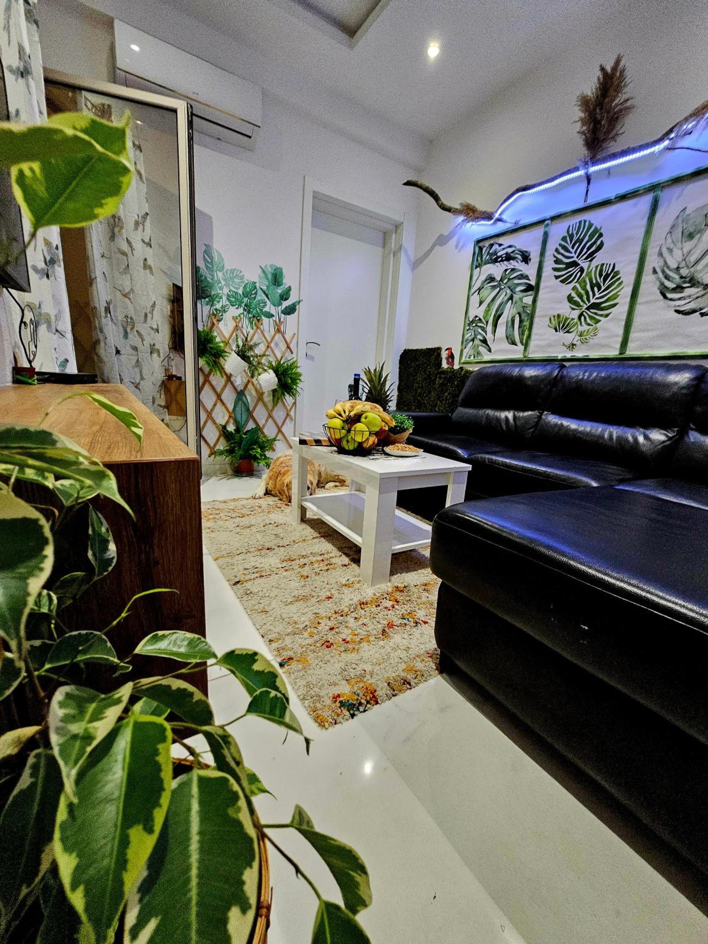 Boutique apartman Dora jungle